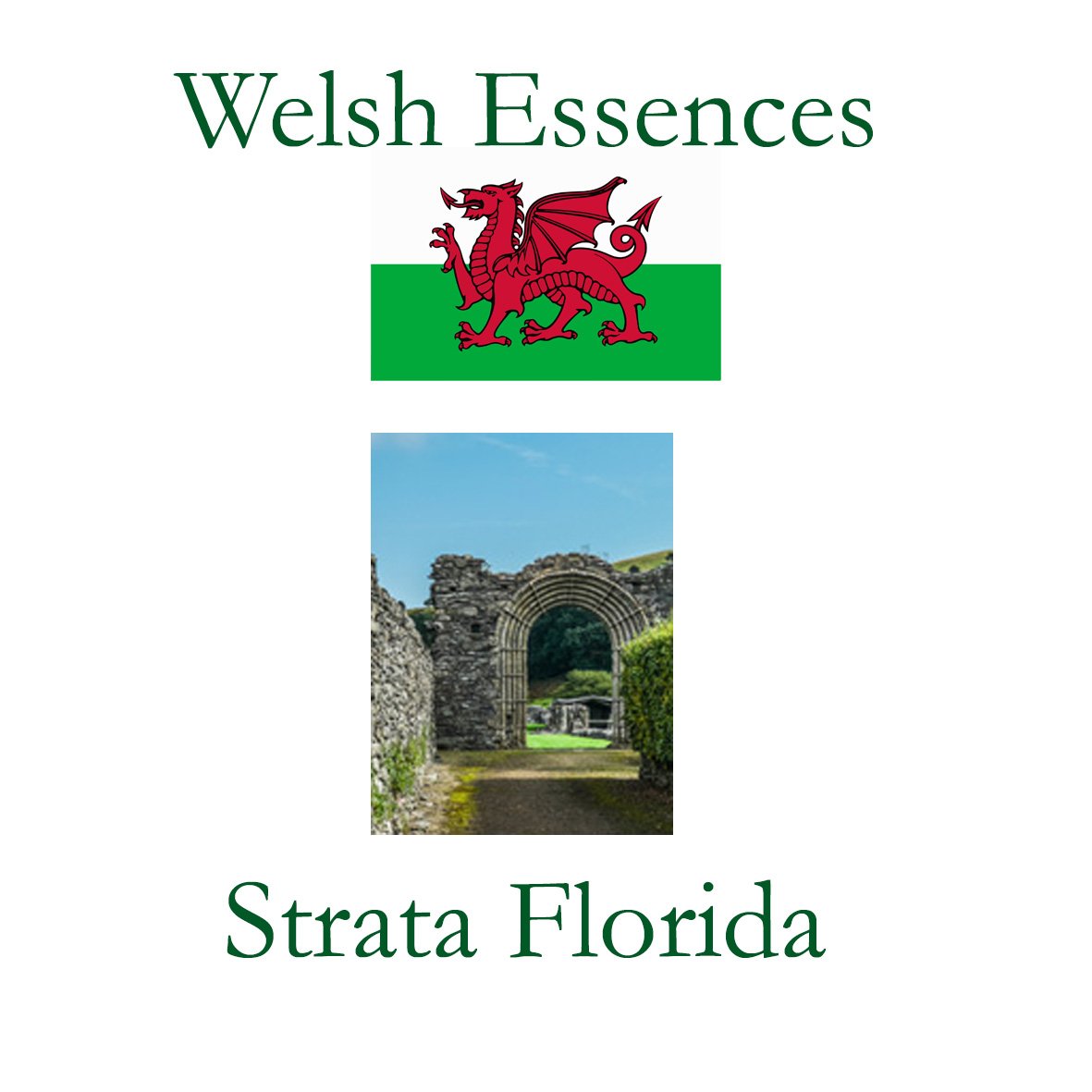 Welsh Essences - Strata Florida