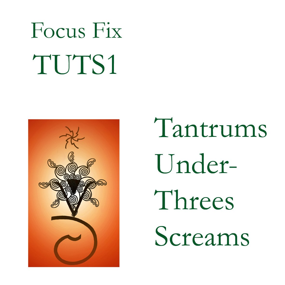 Focus Fix Combination - TUTS1