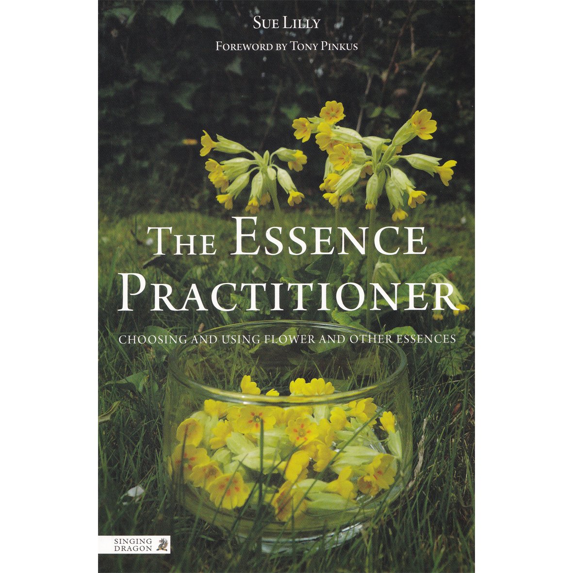 The Essence Practitioner