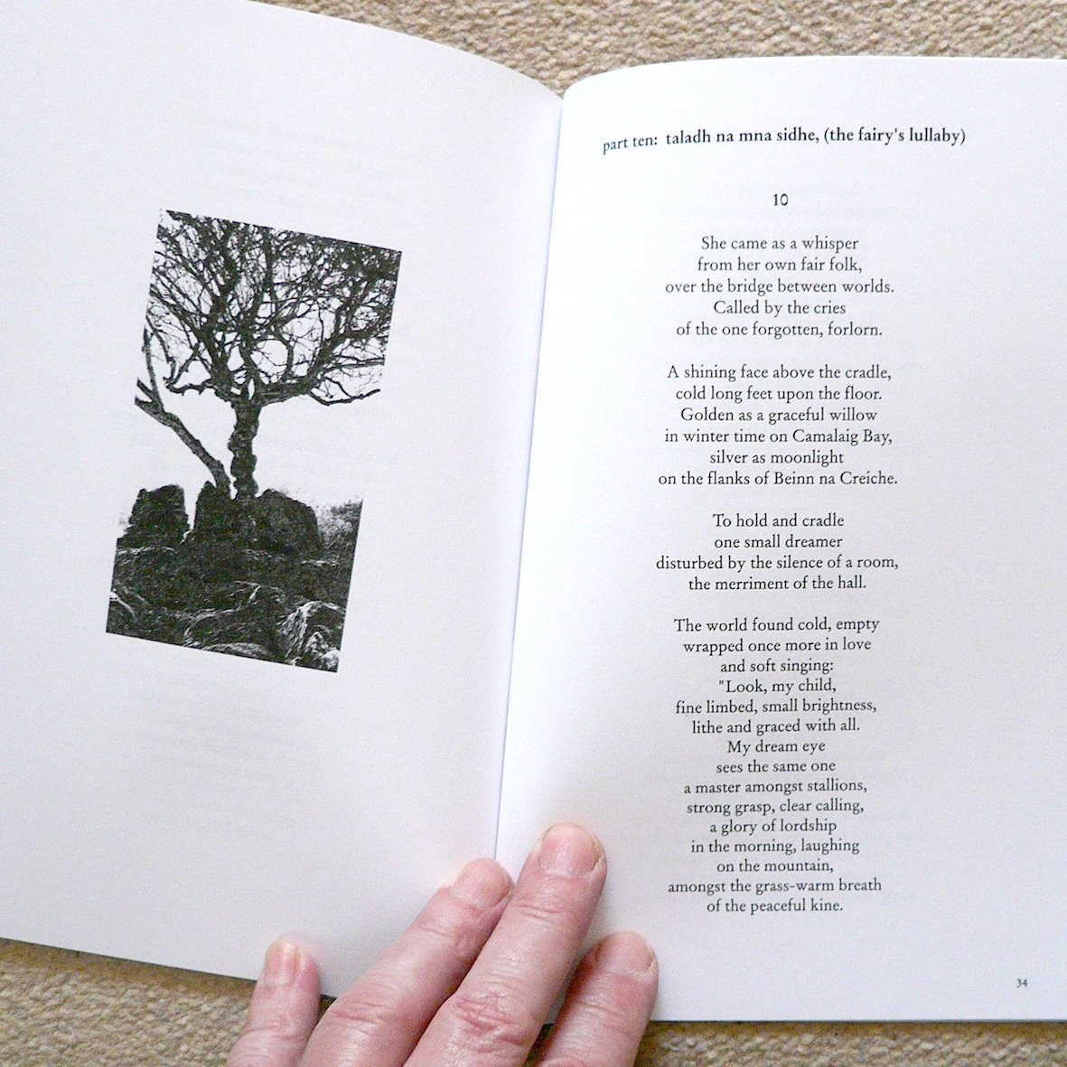 The HouseOfTrees1f.jpg