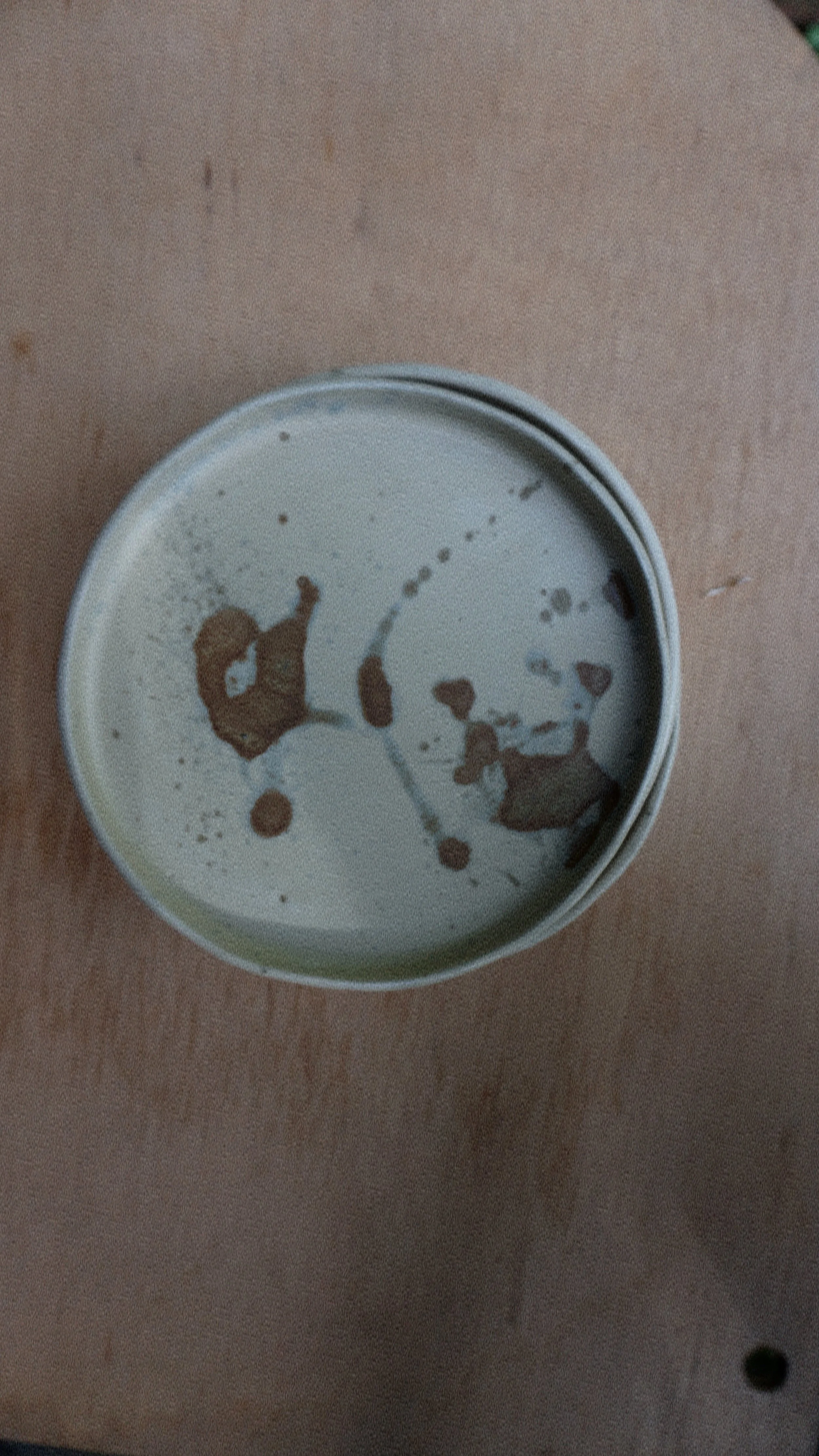 photo-output_8 (3).JPEG