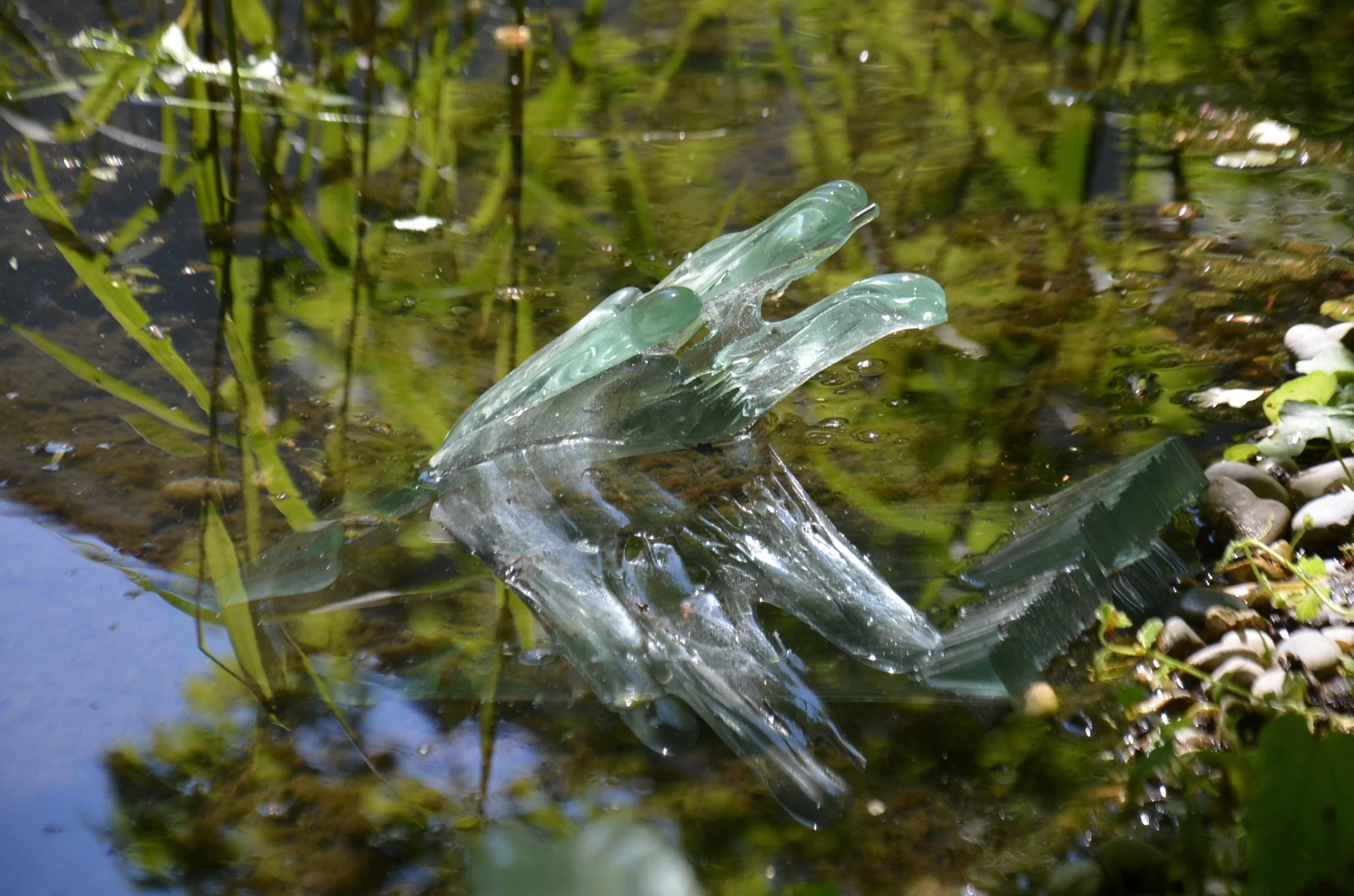 DSC_1176.JPG
