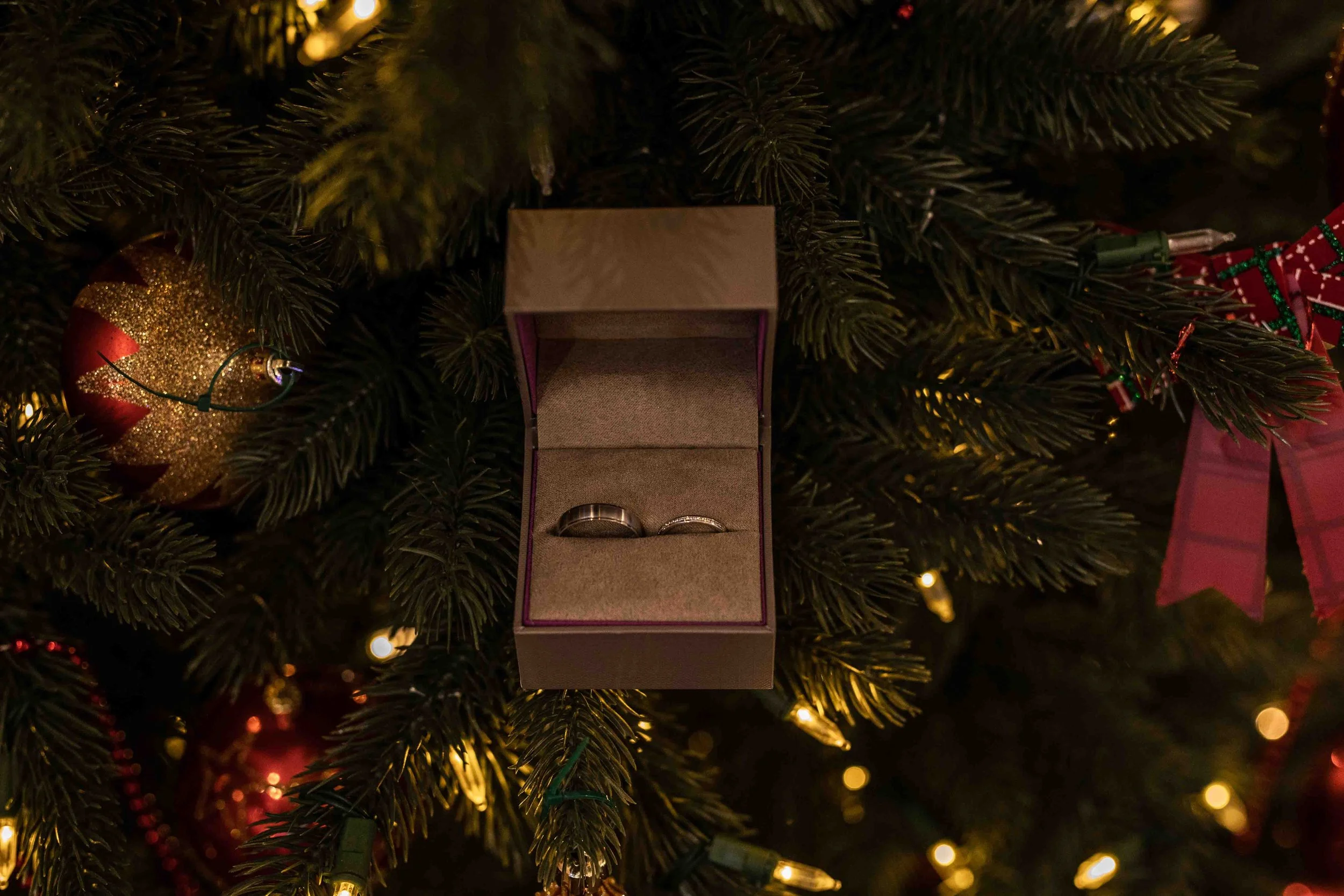 second shoot  (5 of 105).jpg