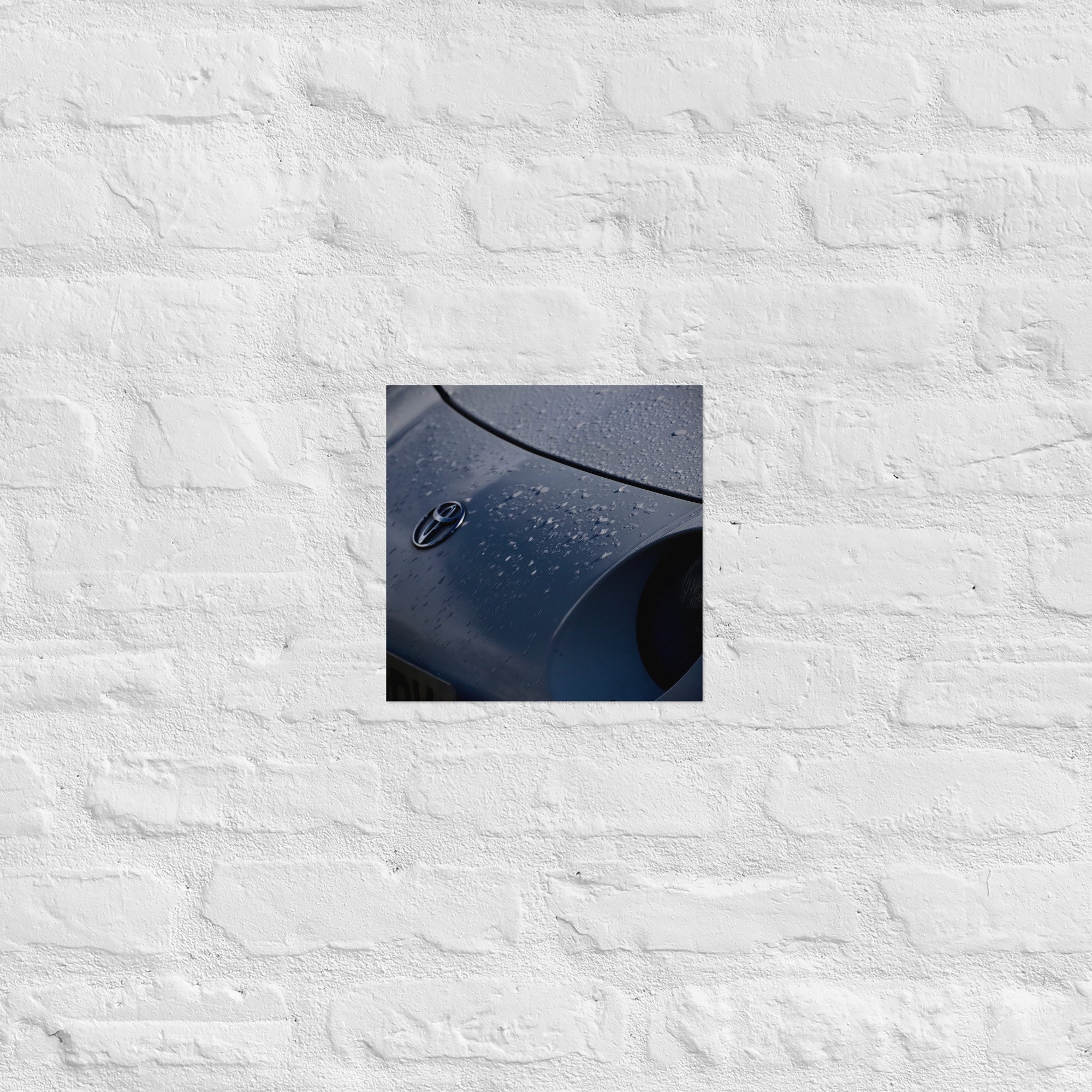 enhanced-matte-paper-poster-(in)-10x10-front-67ceb1cf7d593.jpg