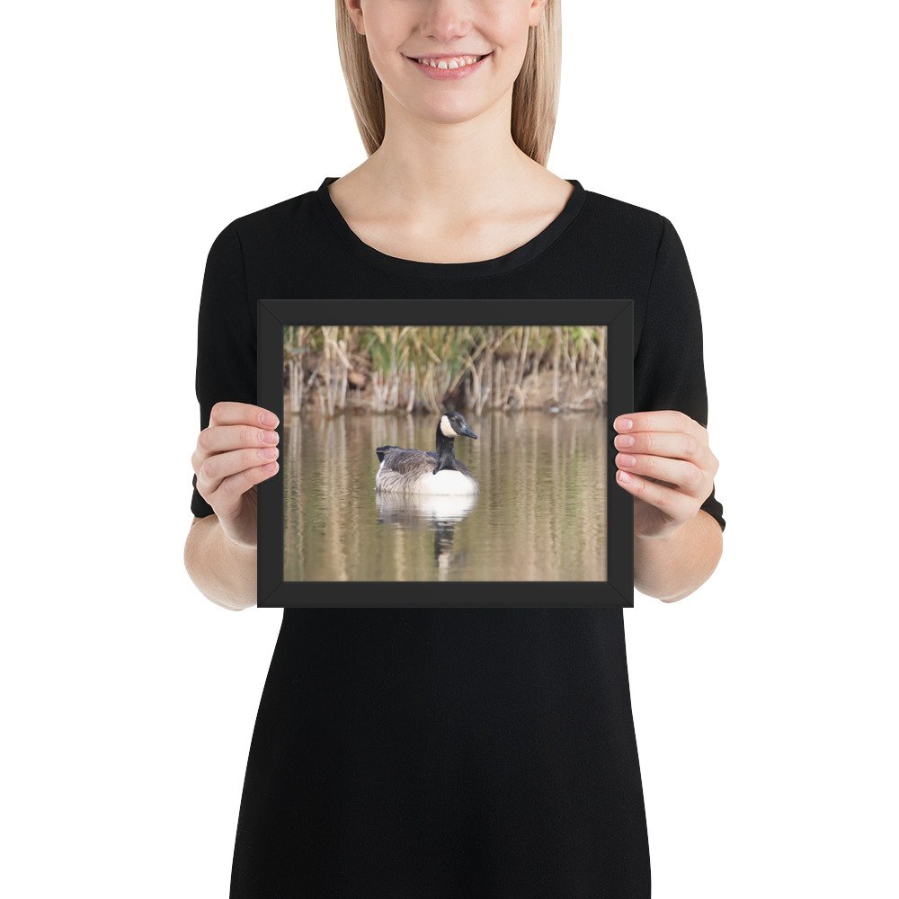 enhanced-matte-paper-framed-poster-(in)-black-8x10-person-67d2a5652febe.jpg