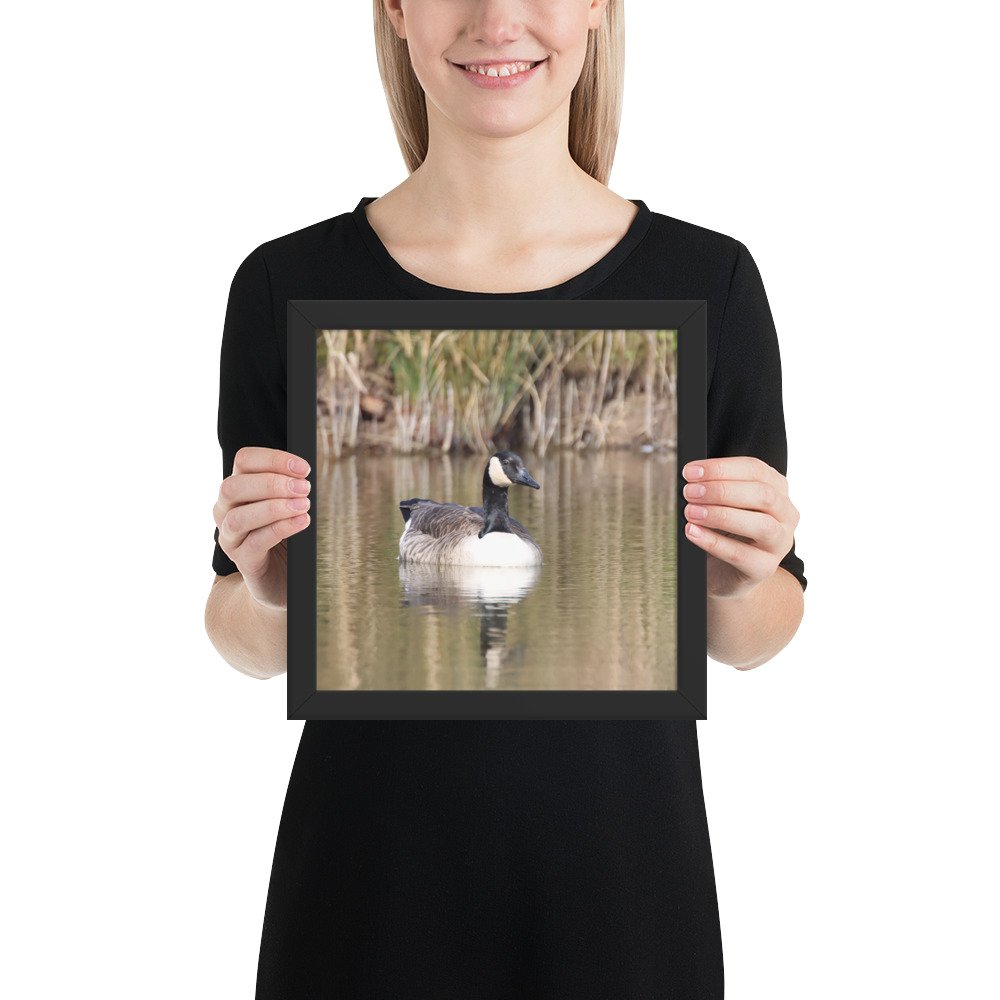 enhanced-matte-paper-framed-poster-(in)-black-10x10-person-67d2a5652ff7b.jpg