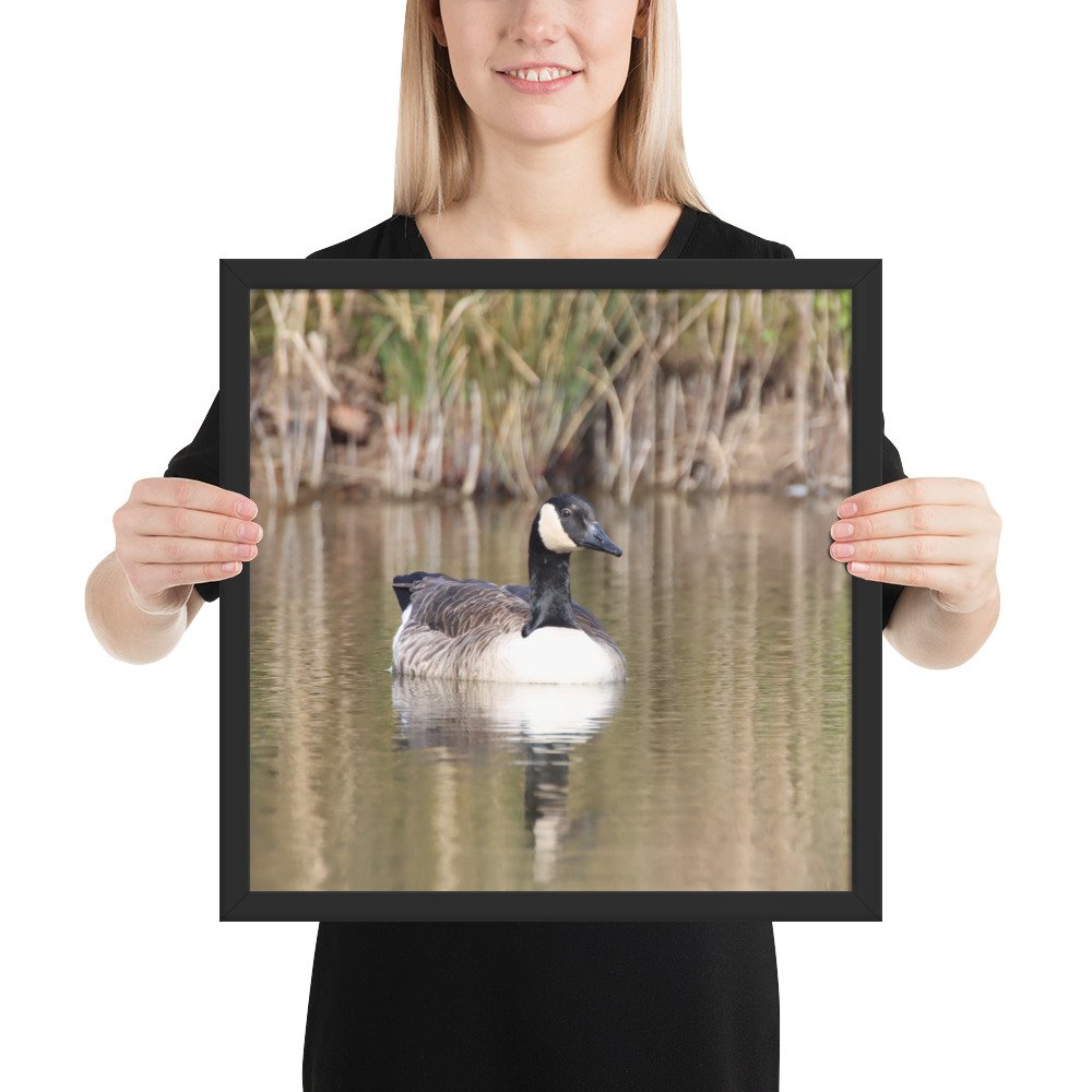 enhanced-matte-paper-framed-poster-(in)-black-16x16-person-67d2a565302d6.jpg