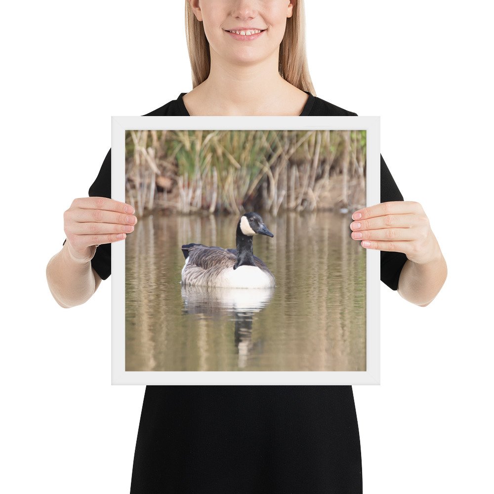 enhanced-matte-paper-framed-poster-(in)-white-14x14-person-67d2a56530886.jpg