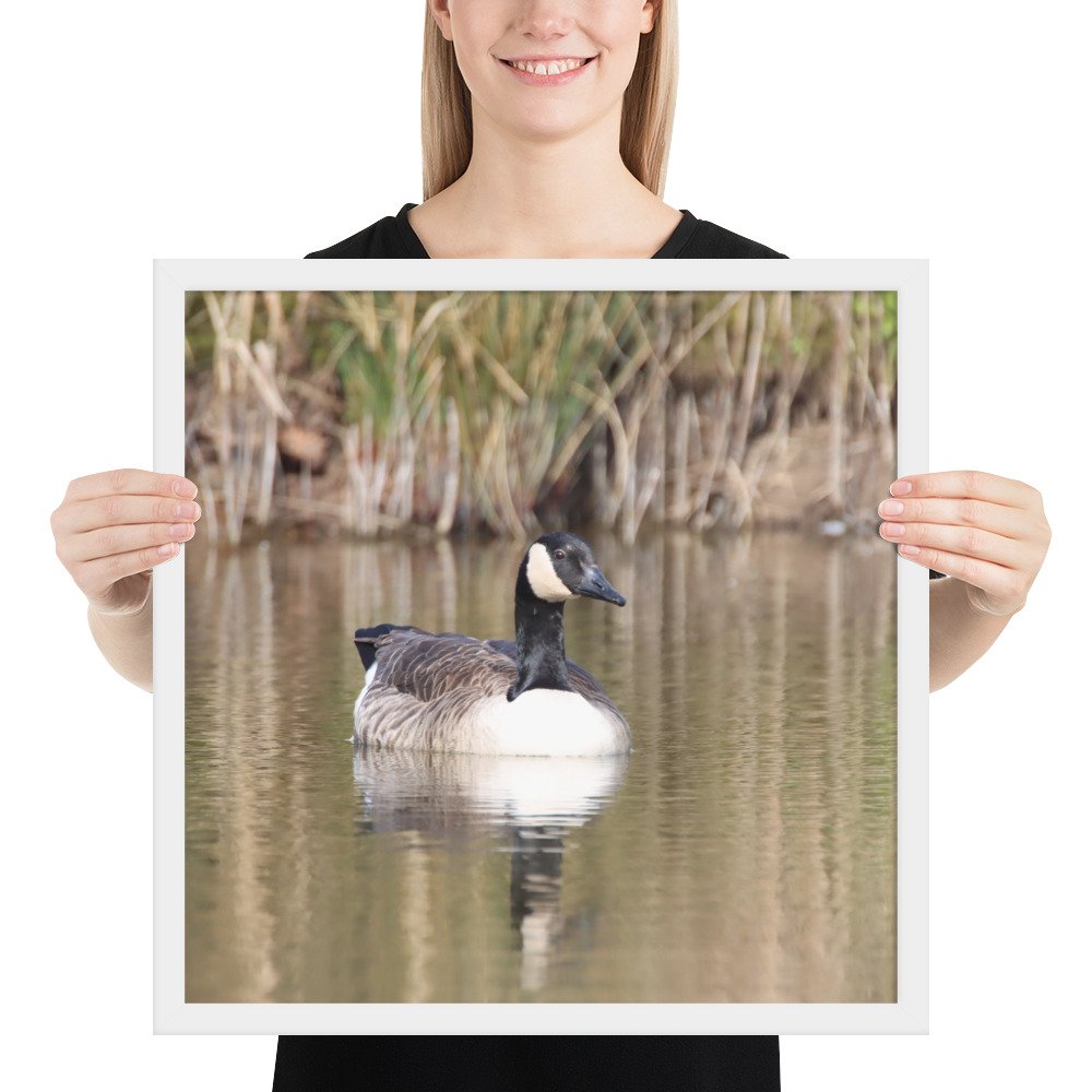 enhanced-matte-paper-framed-poster-(in)-white-18x18-person-67d2a56530a1a.jpg