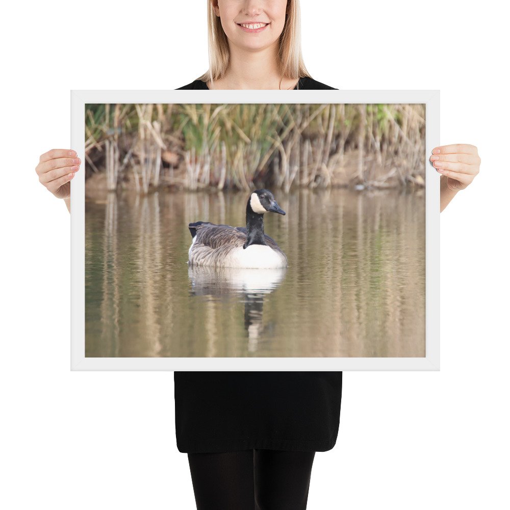 enhanced-matte-paper-framed-poster-(in)-white-18x24-person-67d2a56530aa0.jpg