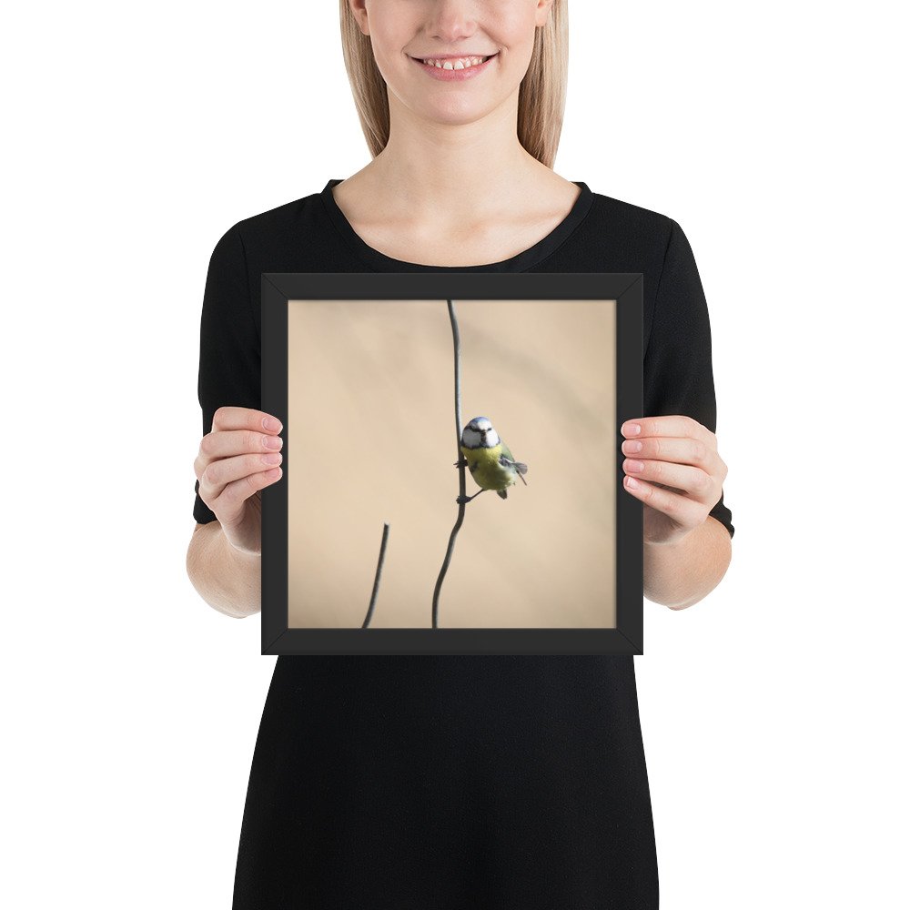 enhanced-matte-paper-framed-poster-(in)-black-10x10-person-67d2a5cb37715.jpg