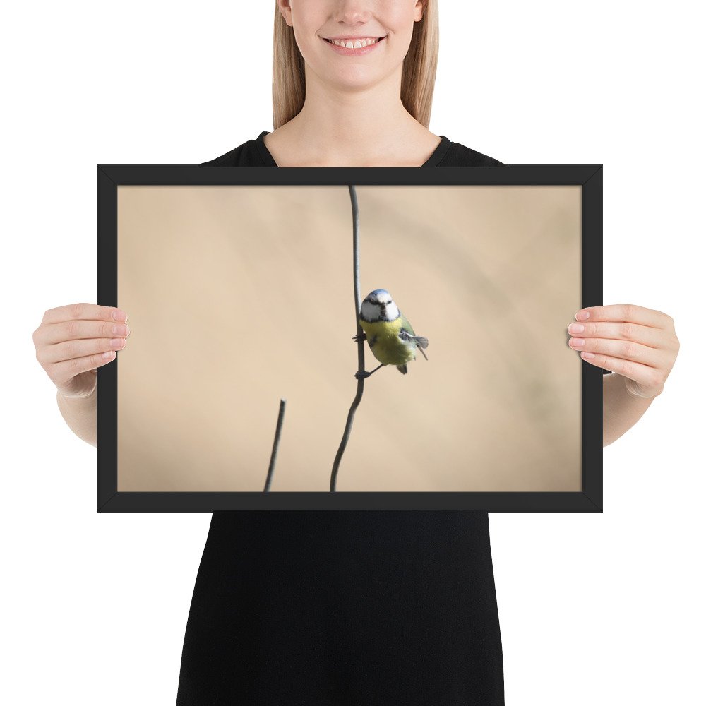 enhanced-matte-paper-framed-poster-(in)-black-12x18-person-67d2a5cb37b27.jpg