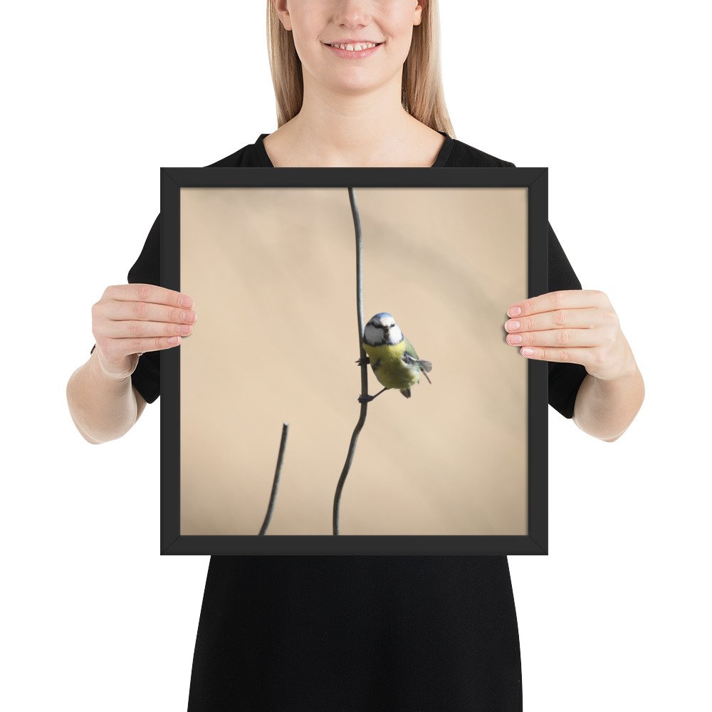 enhanced-matte-paper-framed-poster-(in)-black-14x14-person-67d2a5cb37c1f.jpg