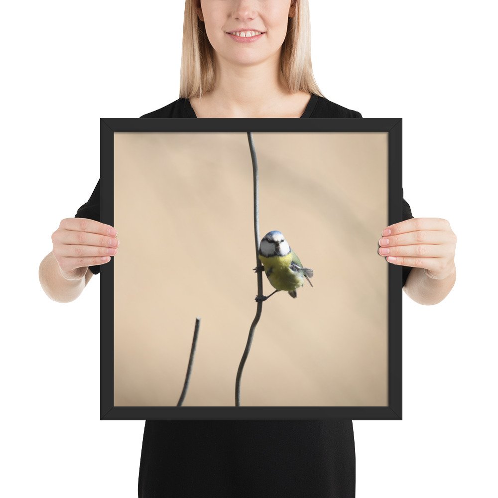 enhanced-matte-paper-framed-poster-(in)-black-16x16-person-67d2a5cb37d15.jpg