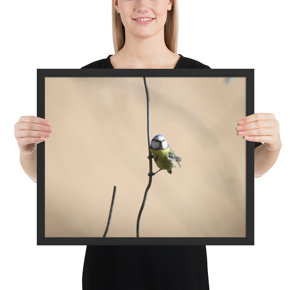 enhanced-matte-paper-framed-poster-(in)-black-16x20-person-67d2a5cb37e0d.jpg