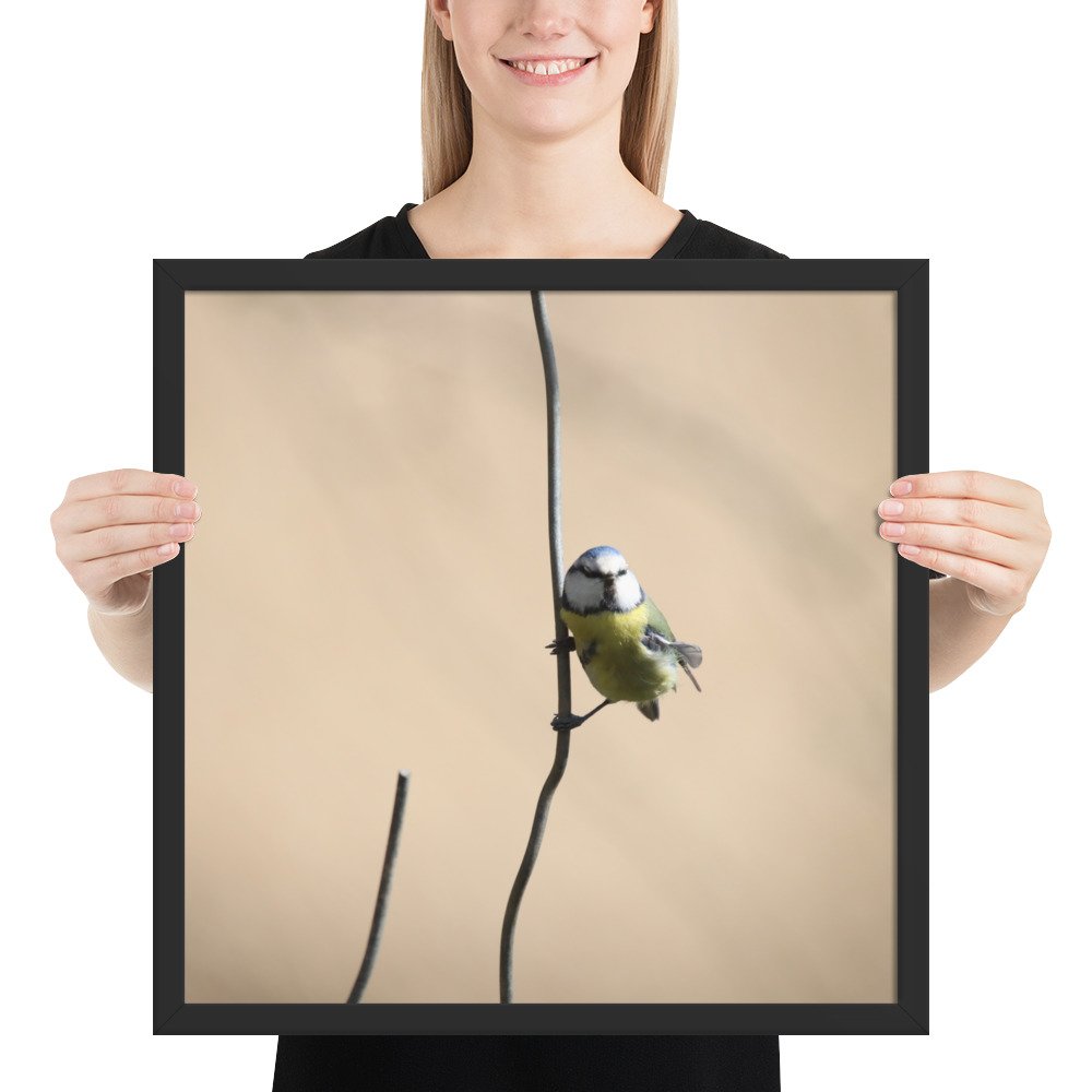 enhanced-matte-paper-framed-poster-(in)-black-18x18-person-67d2a5cb37f29.jpg