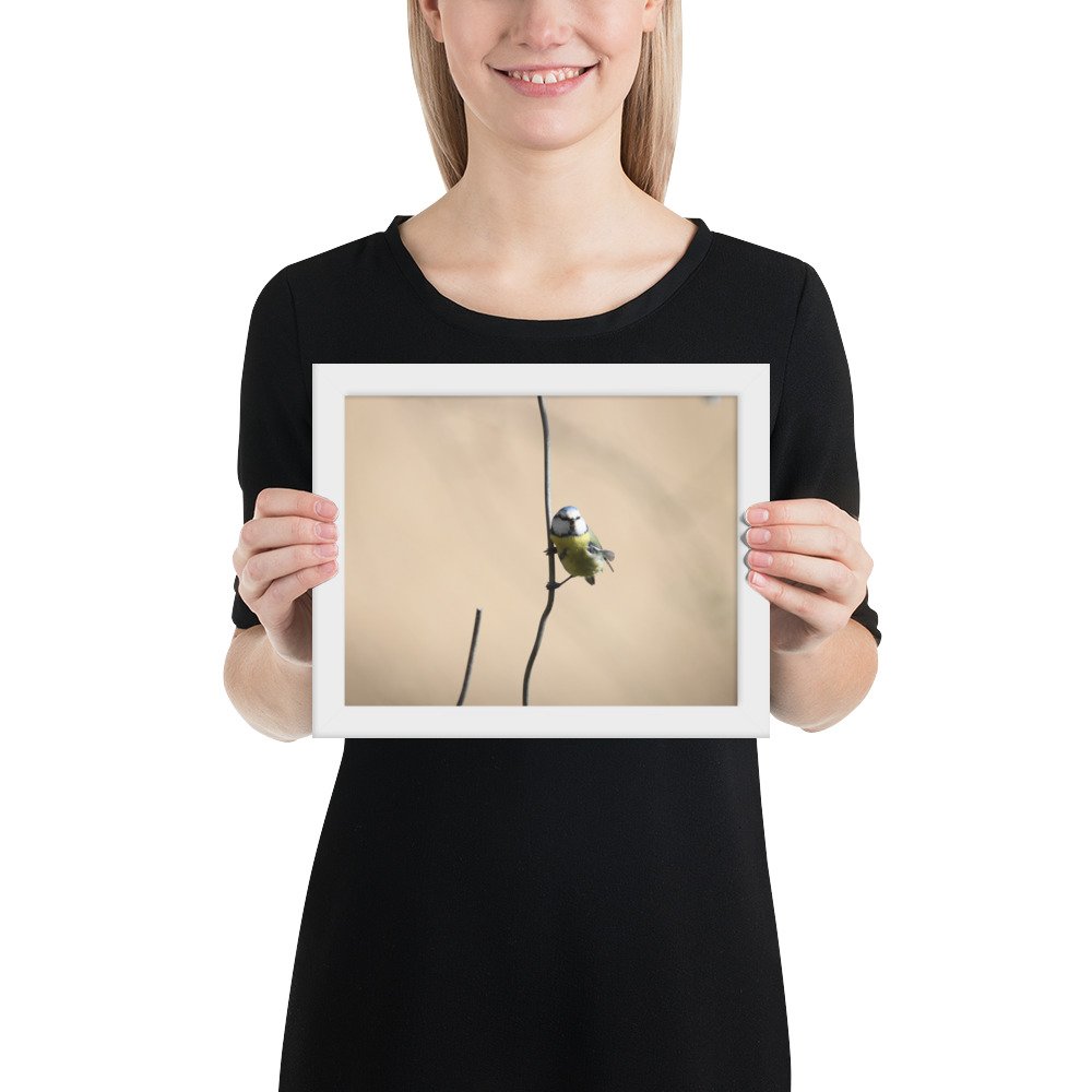 enhanced-matte-paper-framed-poster-(in)-white-8x10-person-67d2a5cb381ba.jpg