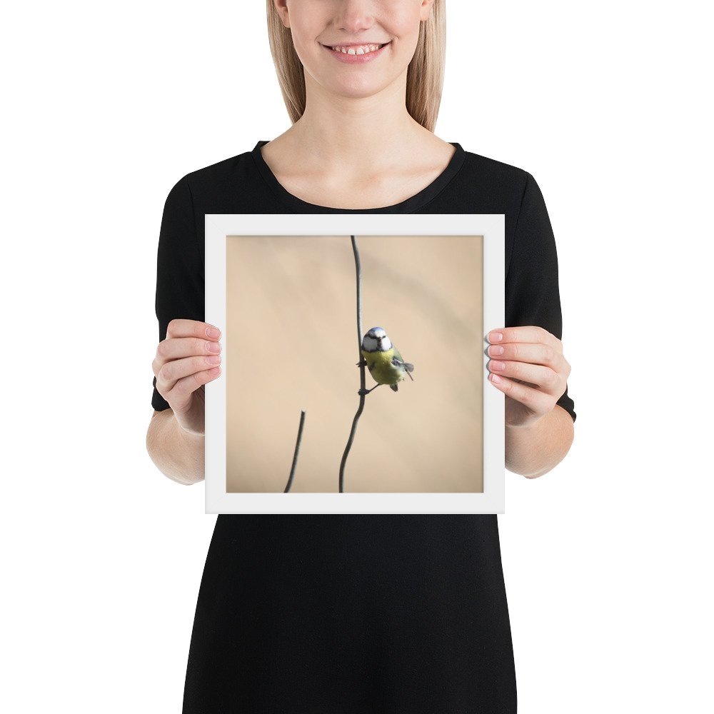 enhanced-matte-paper-framed-poster-(in)-white-10x10-person-67d2a5cb382cb.jpg