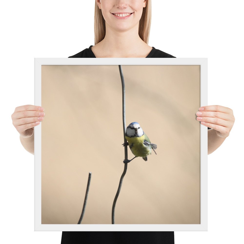 enhanced-matte-paper-framed-poster-(in)-white-18x18-person-67d2a5cb38ab3.jpg