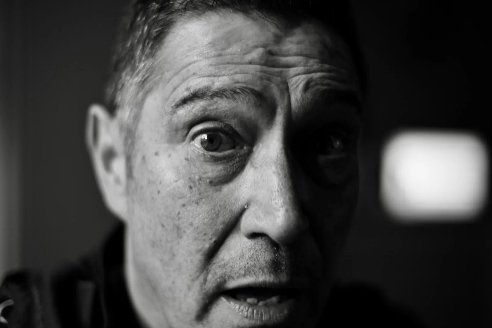 Portraits
