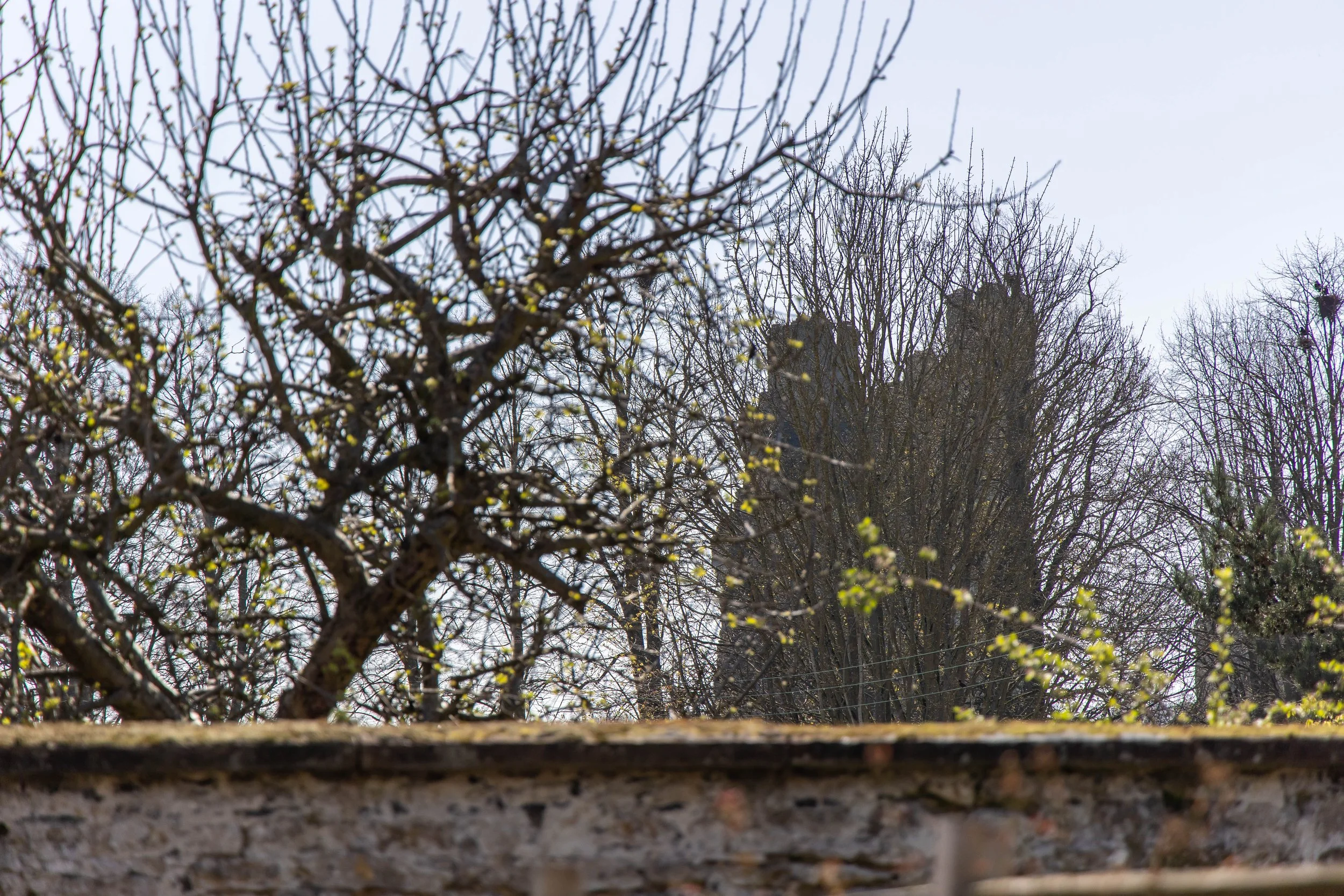 Little Barn External-17.jpg