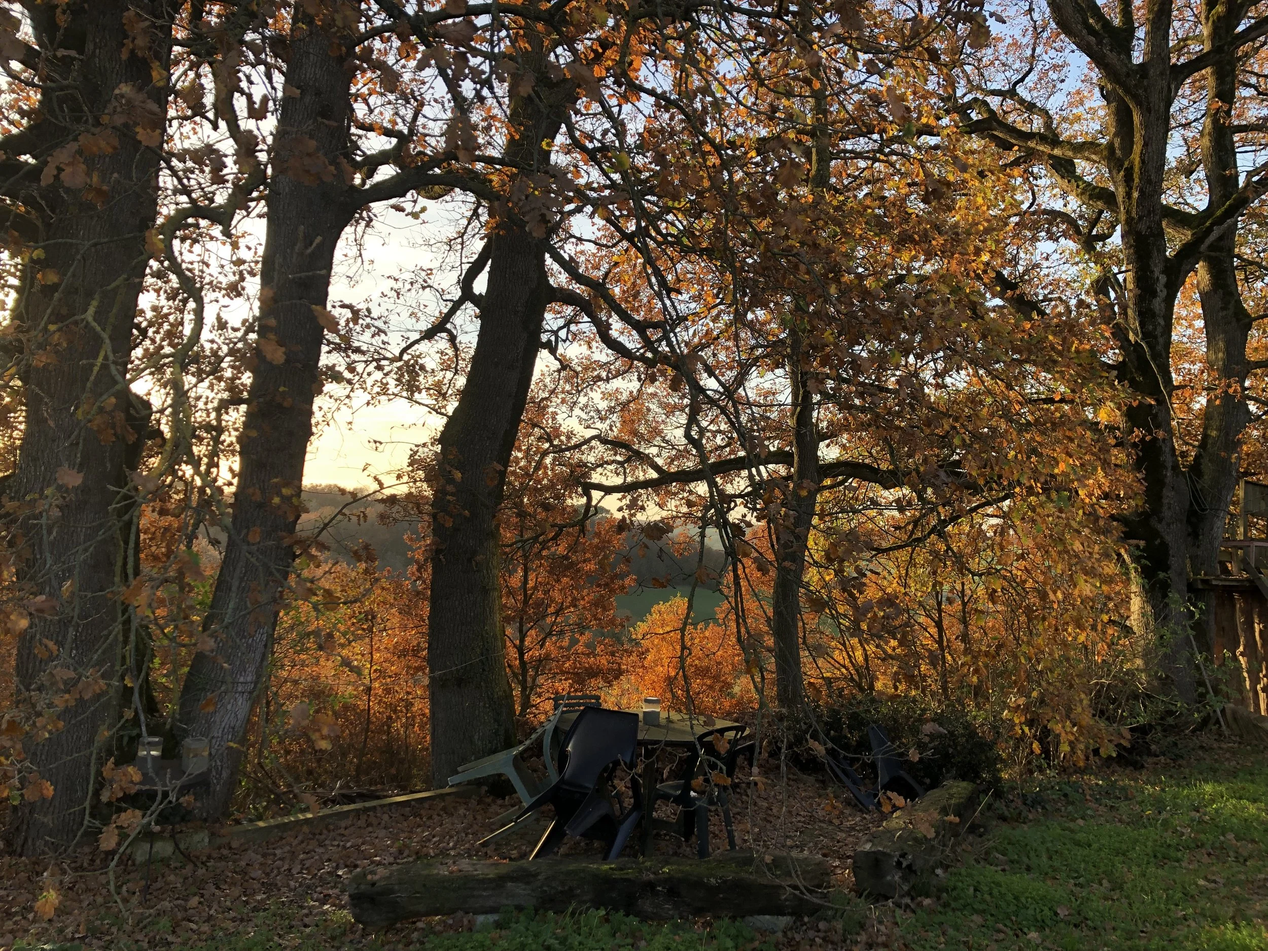 Paysages d'automne avec des arbres aux feuilles orange et marron. Une table et des chaises sous un arbre, le tout dans une lumière de coucher de soleil.
