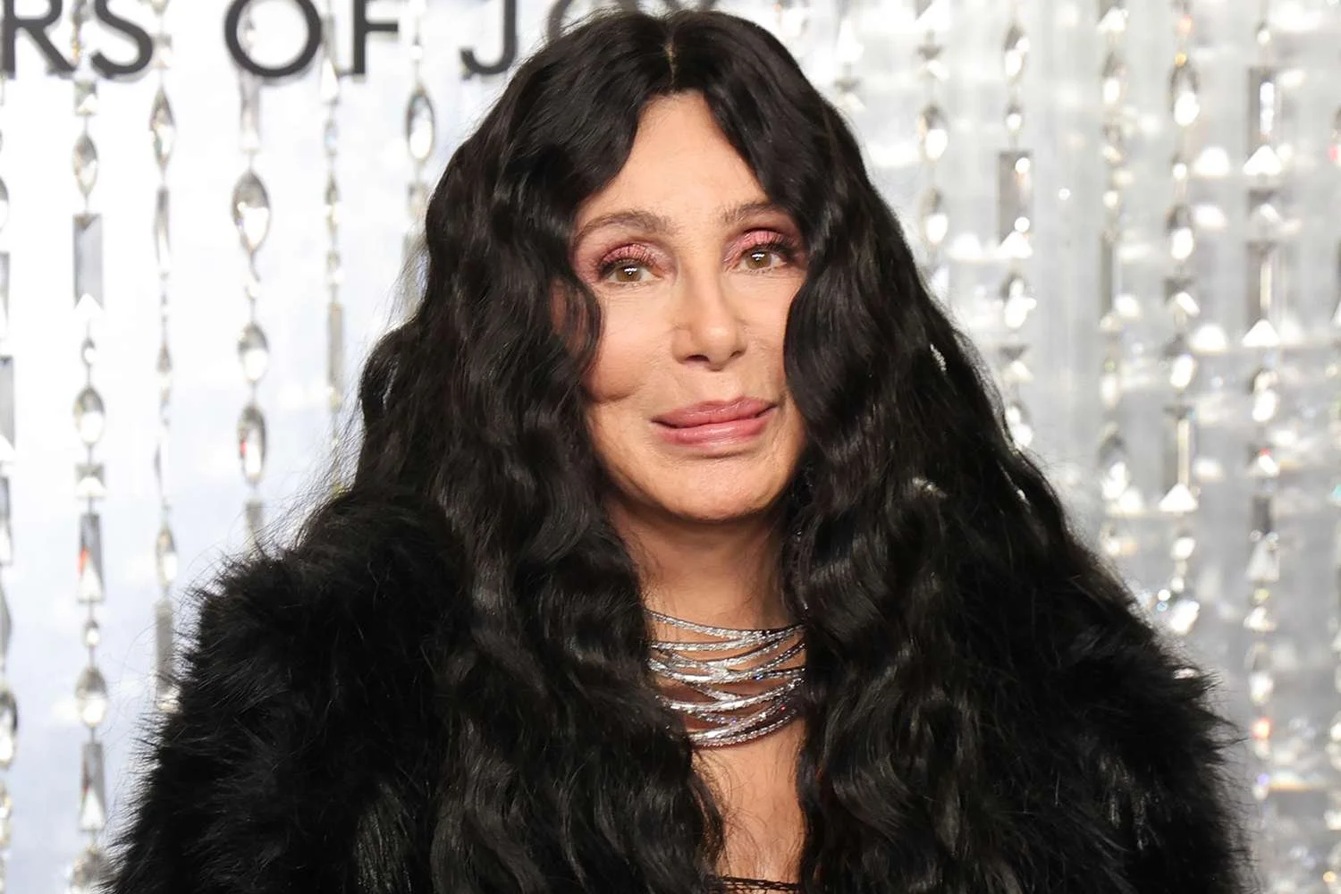 Cher @cher 35M Followers