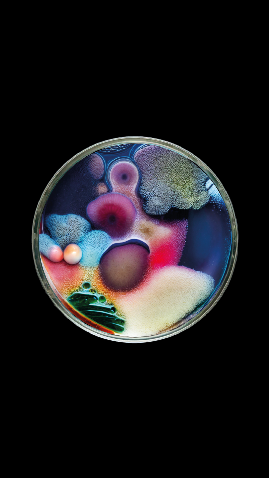 ia3Plan de travail 2.png