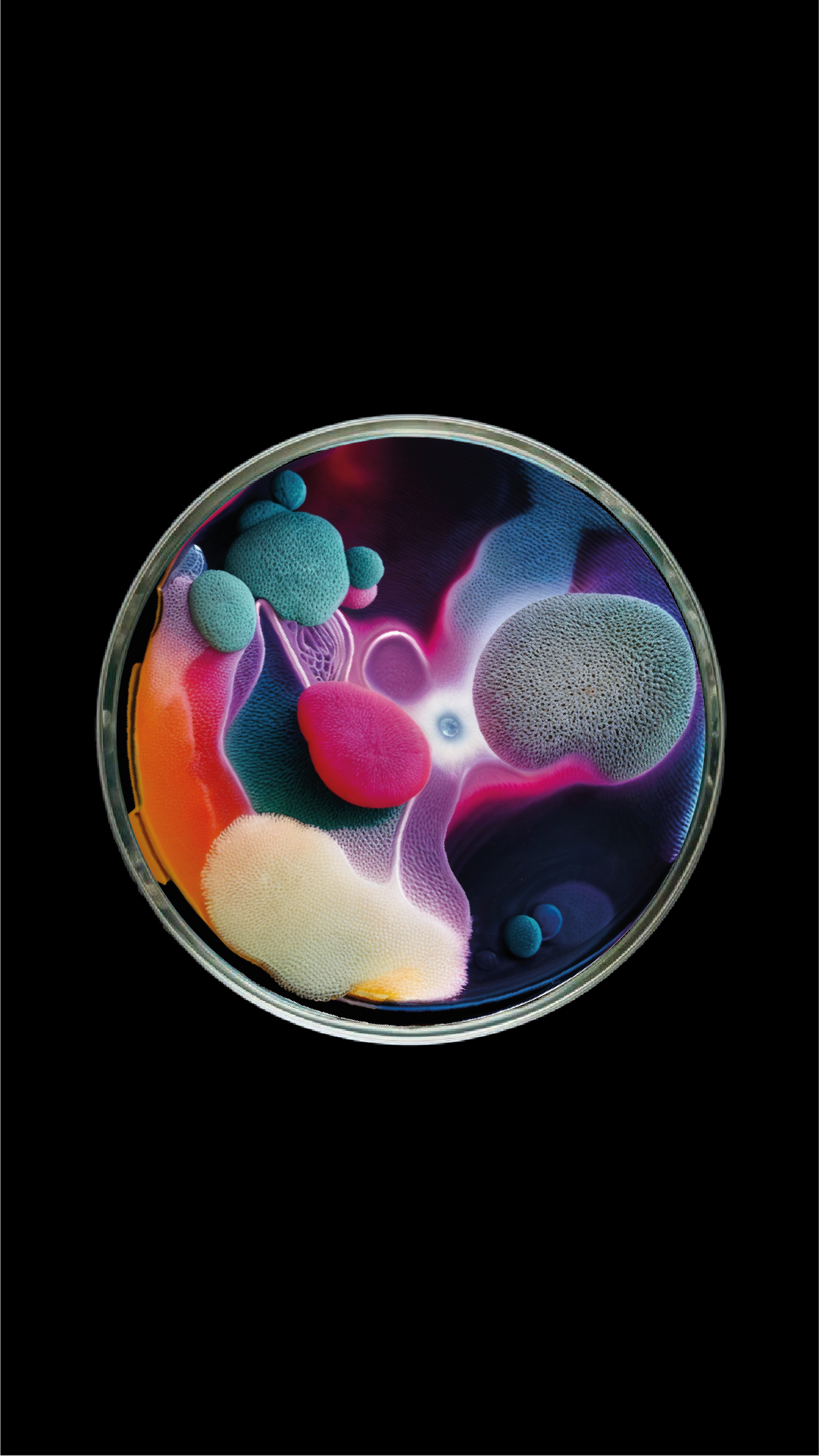 ia15Plan de travail 2.png