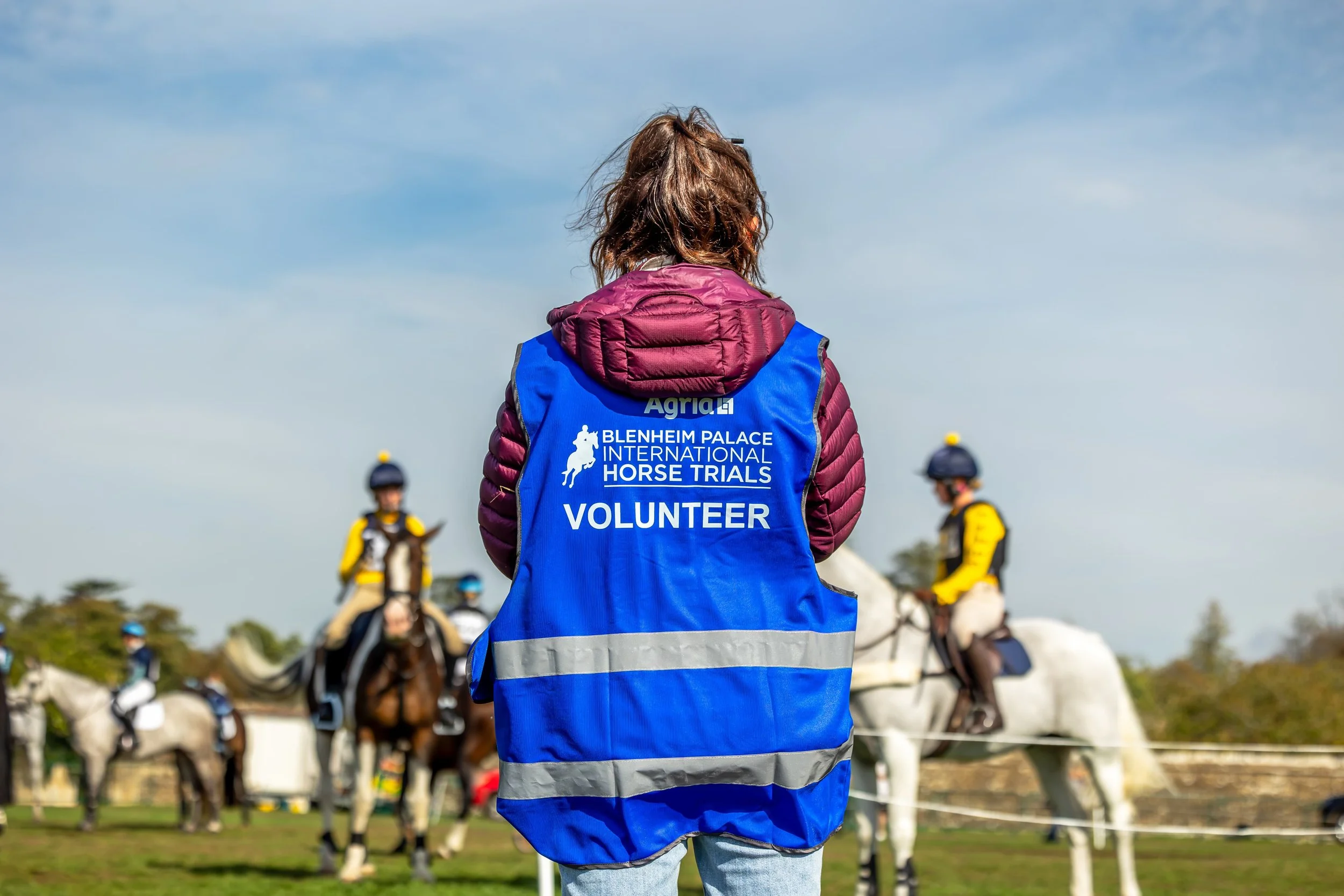 Blenheim Credit Kirsty Pasto34 copy.jpg