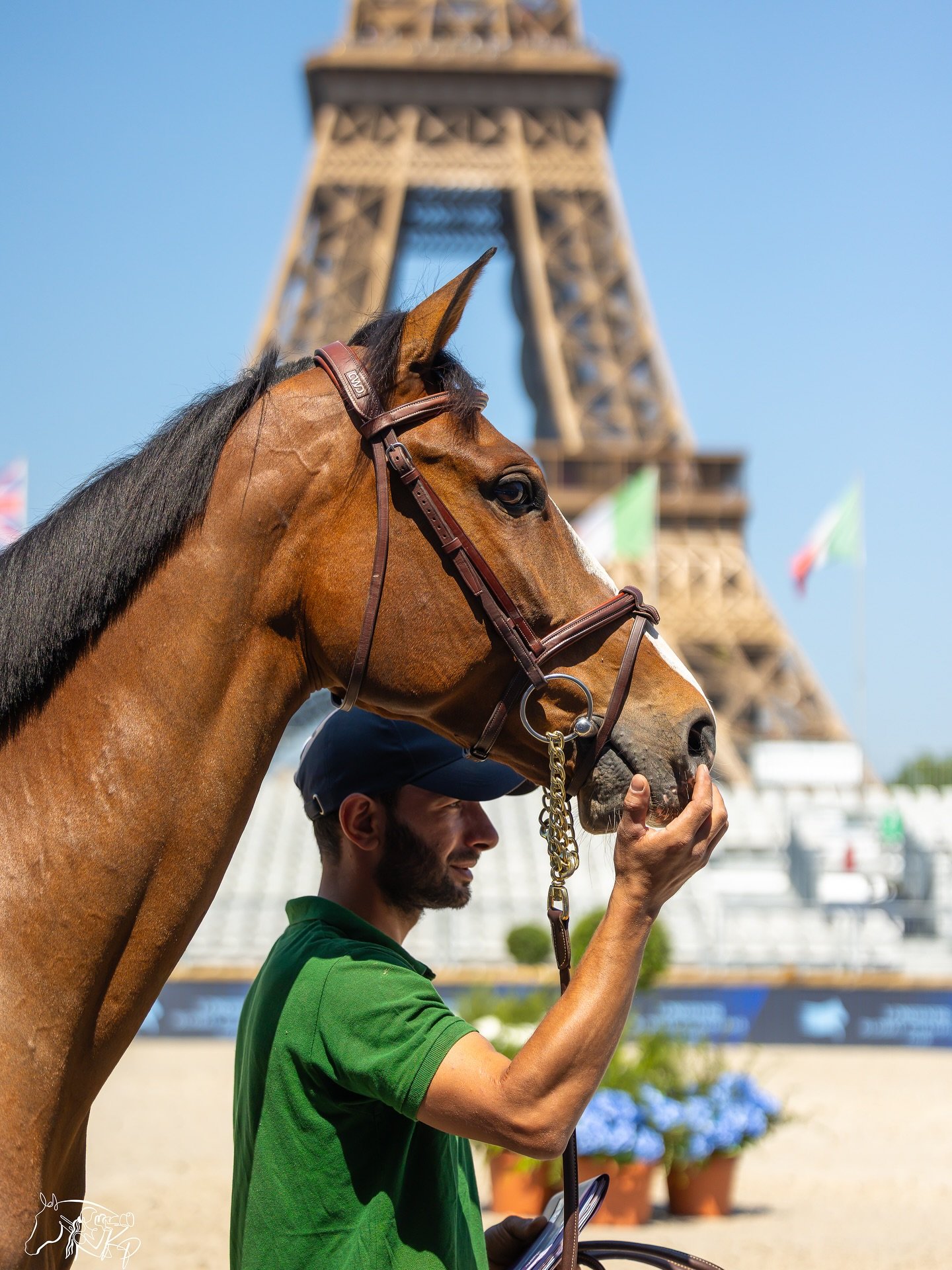 The view is impressive but Paula M 5 still manages to steal it! 😍

📸 &copy;Kirsty Pasto, all rights reserved.

#EquestrianMedia #PR #KirstyPastoMedia #Cheval #EquestrianPhotography #LEPJ2025 #LGCT #GCL #Longines #EleganceIsAnAttitude #prixjeanroche