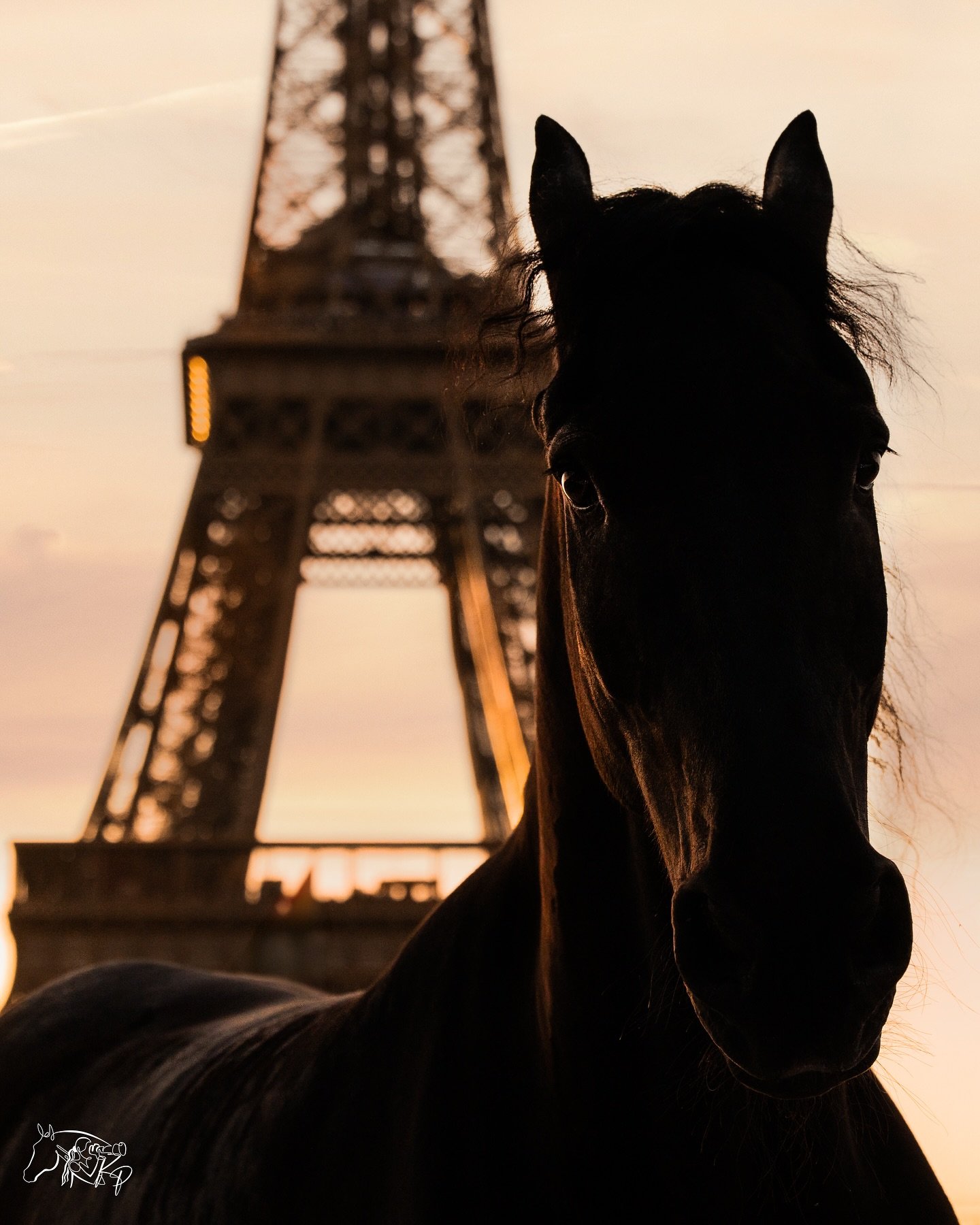 Still dreaming of Paris. 😍

📸 &copy;Kirsty Pasto, all rights reserved.

#EquestrianMedia #PR #KirstyPastoMedia #Cheval  #EquestrianPhotography  #LEPJ2025 #LGCT #GCL #Longines #EleganceIsAnAttitude @santiserracamps @sercamstables