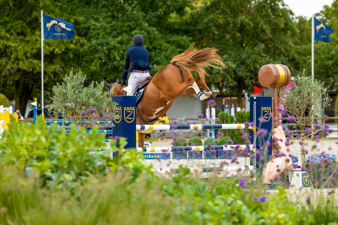 Kicking up our heels at @zangersheide ! 👠 💃🏼 

📸 @kirsty_pasto for @irishhorseboard 

#KirstyPastoMedia #YoungHorse