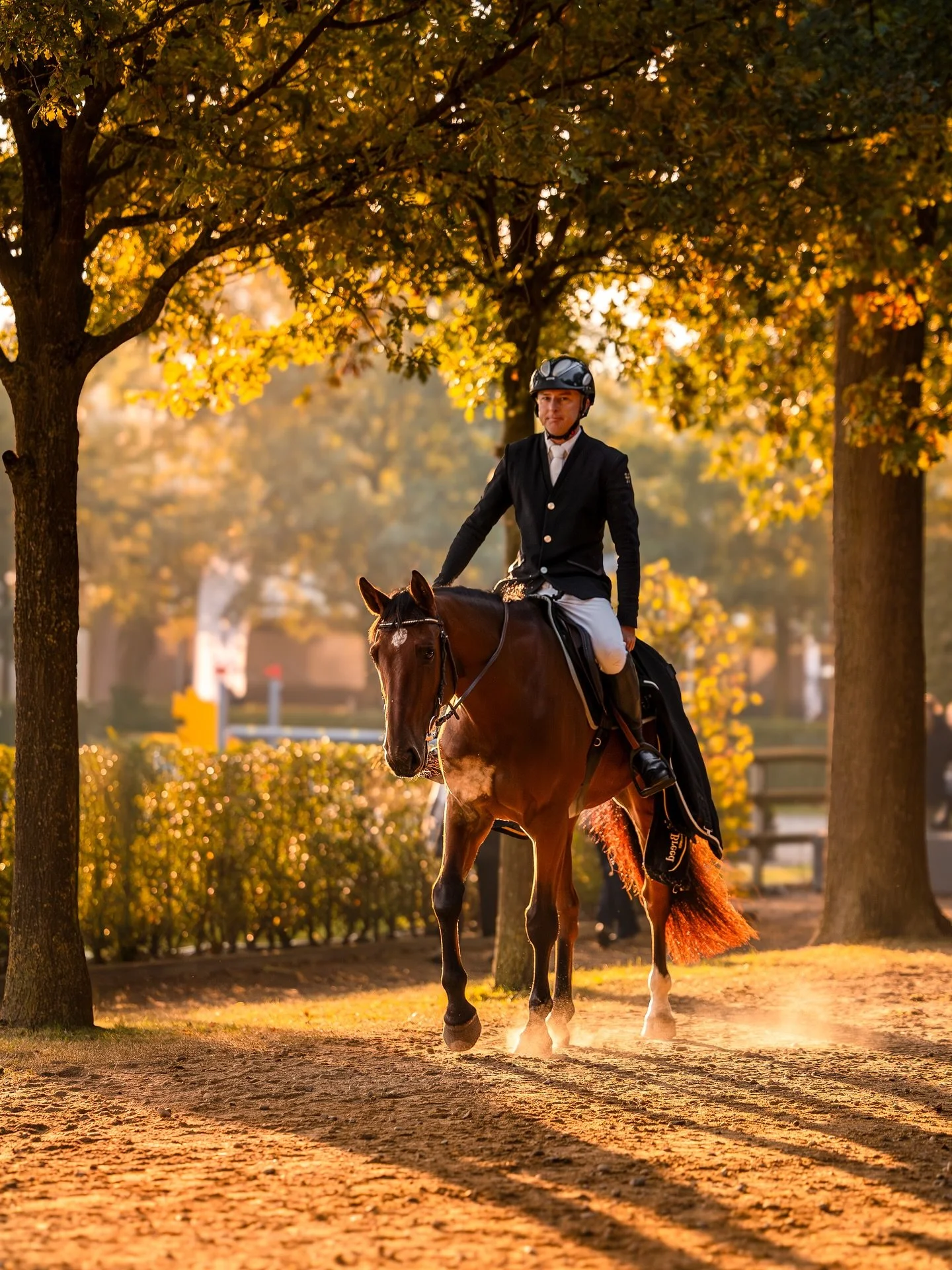 A golden start to the day in Lanaken. 🌅 

Beautiful morning filled with beautiful horses at @zangersheide for the FEI WBFSH Jumping World Breeding Championships. 🏆 

📸 @kirsty_pasto 

#KirstyPastoMedia