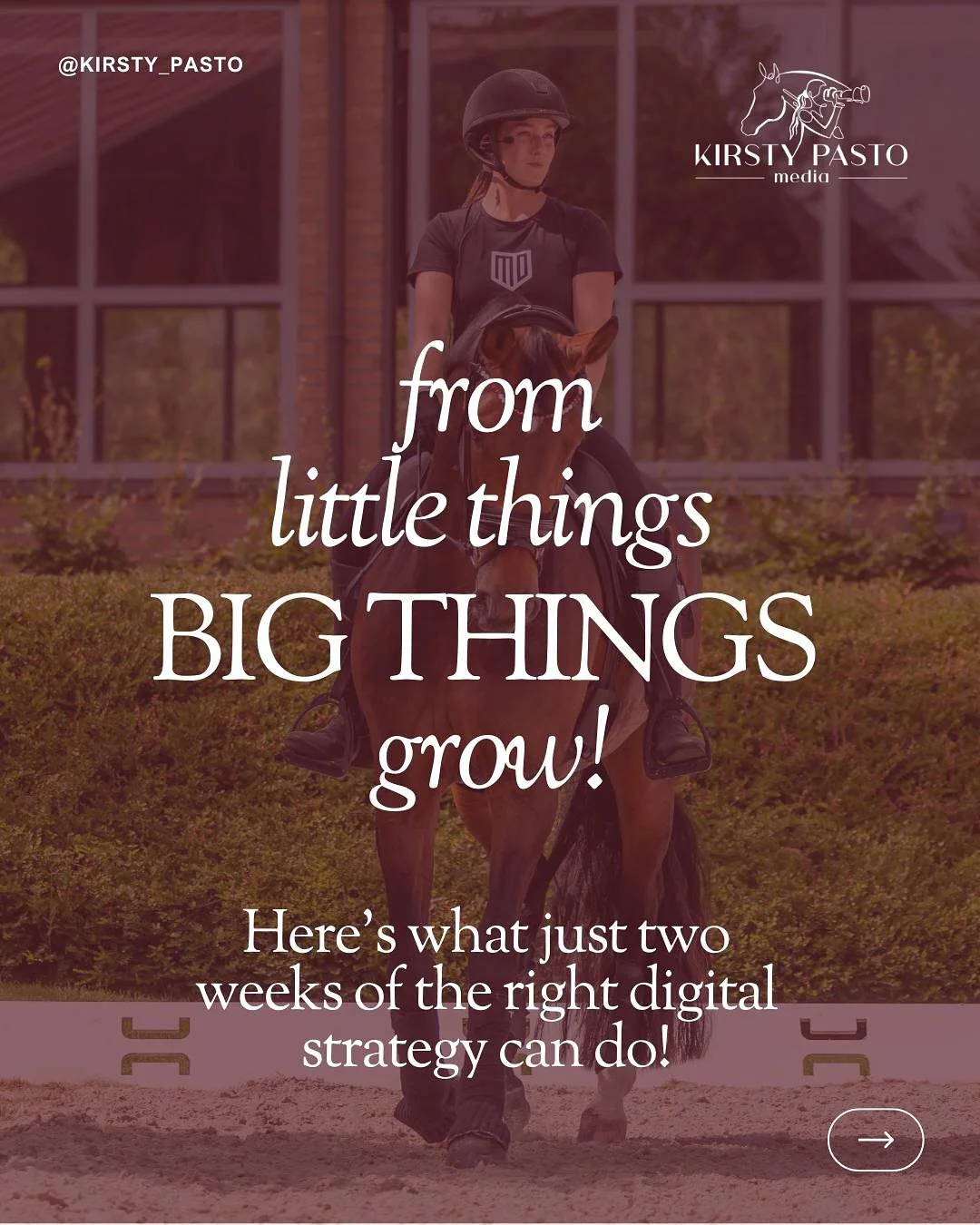Smart strategy = powerful content. 🎯

Great content doesn&rsquo;t happen by accident. Without strategy, it&rsquo;s just noise. As Social Media Lead for the @fei_dressage_ European Championship at @jivahillstables, I focused on giving every post a cl