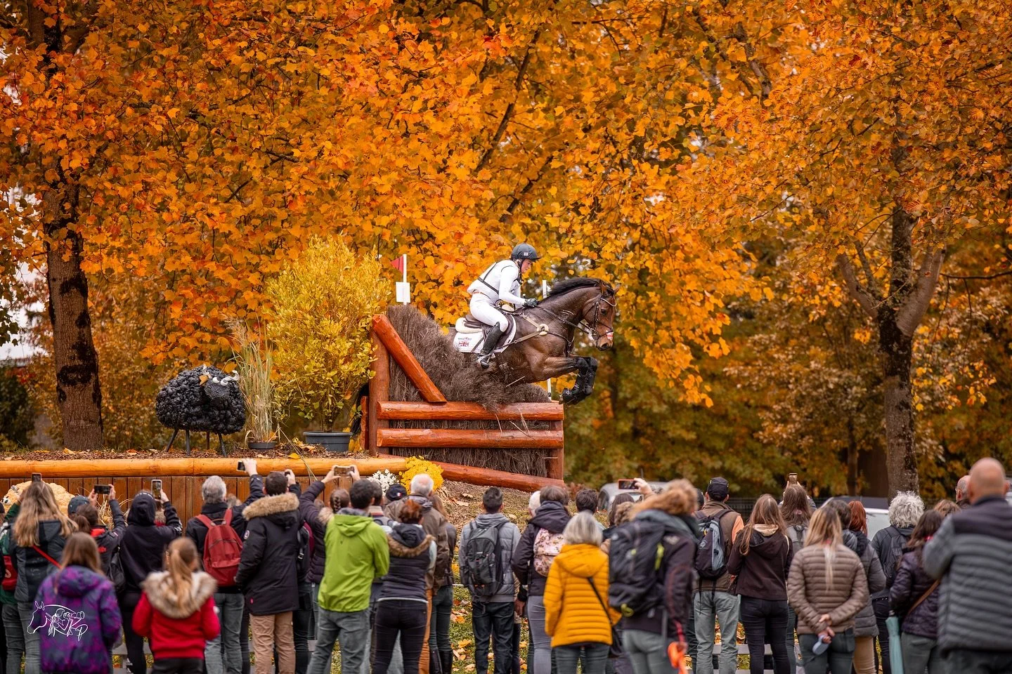 Flying through fall, Pau style! 🍁🍂

Ill be capturing all the magic of @5etoilesdepau in October. Get in touch to secure your booking, places limited.

📸 @kirsty_pasto, pictured @bubbyupton and Cola.

#KirstyPastoMedia #5etoilesdepau #EquestrianPR