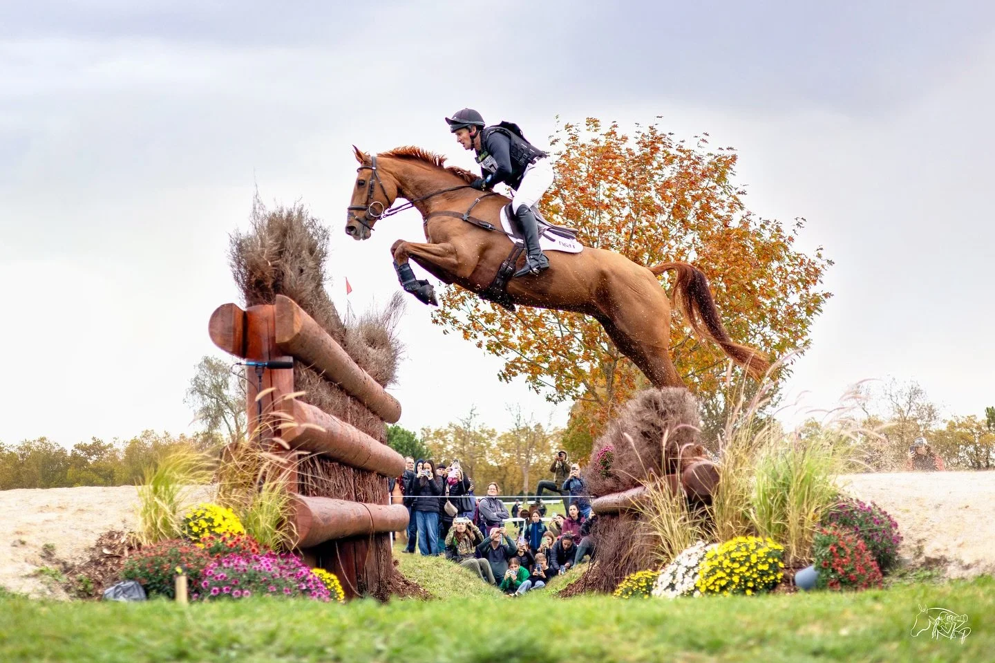Midweek motivation! 💪

@andrewdowneseventing and Cooley Foxtrot flying over the ditch at @5etoilesdepau! 🚀

📸 @kirsty_pasto 

#KirstyPastoMedia #5etoilesdepau