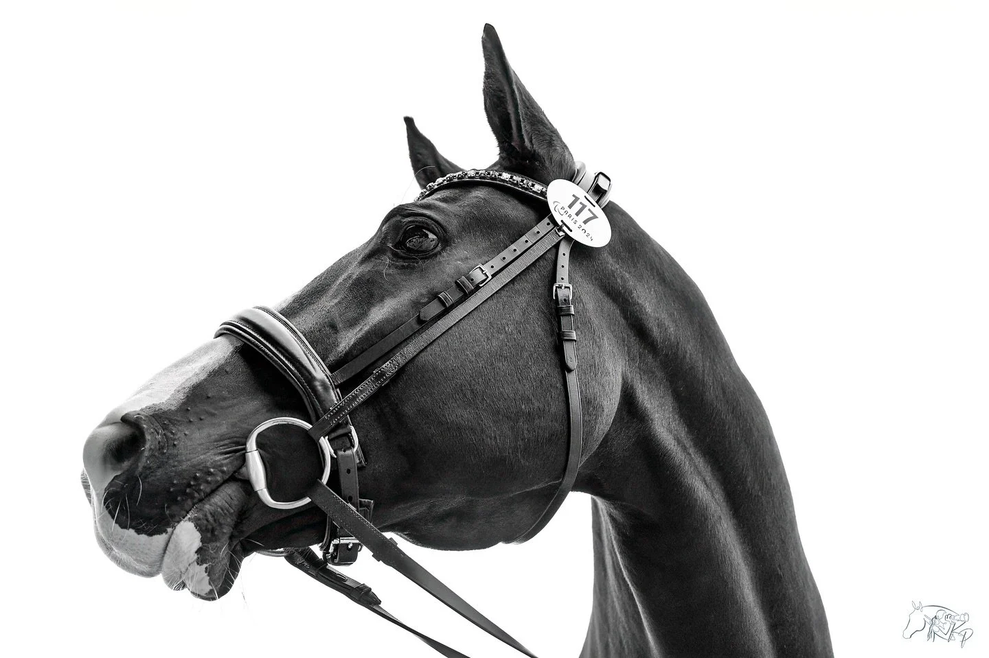 Some moments are worth pausing for. ⏸️

📸 @kirsty_pasto pictured @jenslassedokkanpararider&rsquo;s stunning mount Aladdin at #Paris2024

#KirstyPastoMedia #equestrianportrait