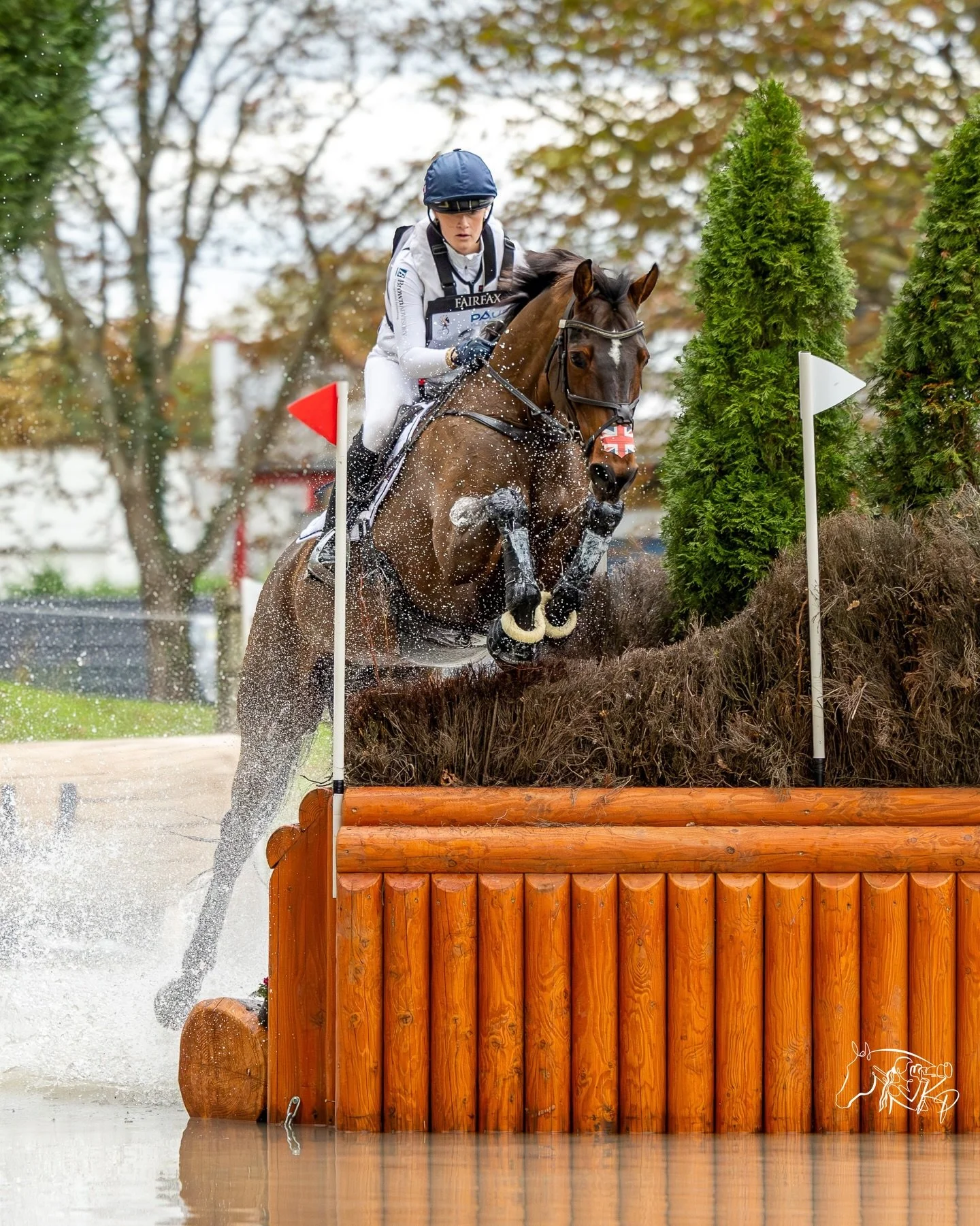 Happy retirement Cannavaro! 🐻

Your adorable face and big heart will be missed, but enjoy your well-deserved retirement. 💖

📸 @kirsty_pasto, from @5etoilesdepau 2025 @bubbyupton 

#KirstyPastoMedia