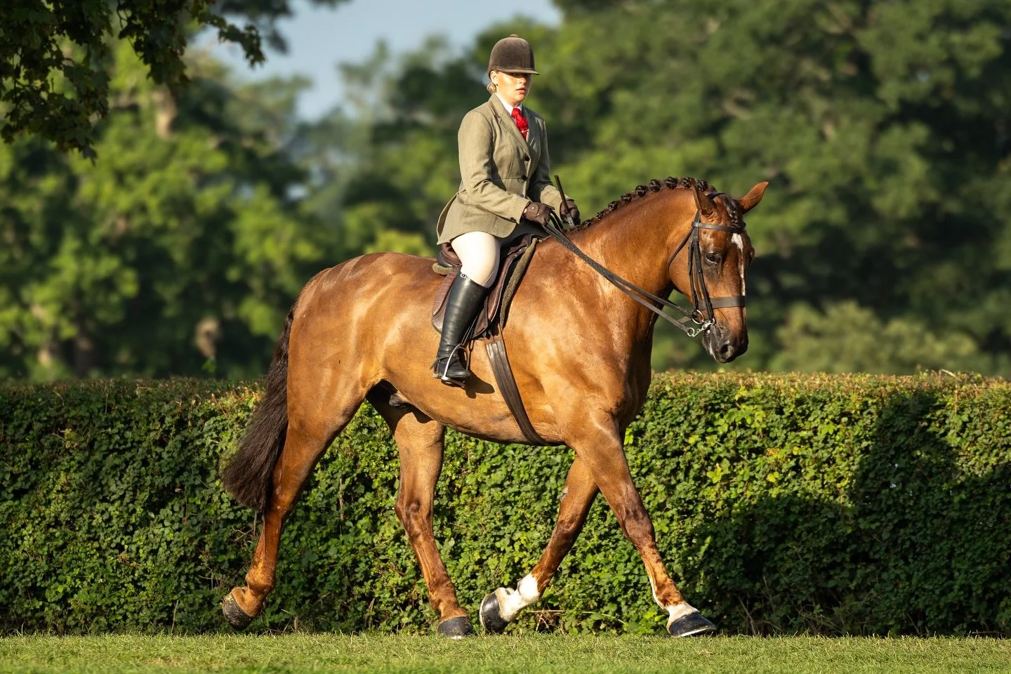 Happy St Patrick&rsquo;s Day ☘️

📸 &copy; Kirsty Pasto

#KirstyPastoMedia #IrishHorses