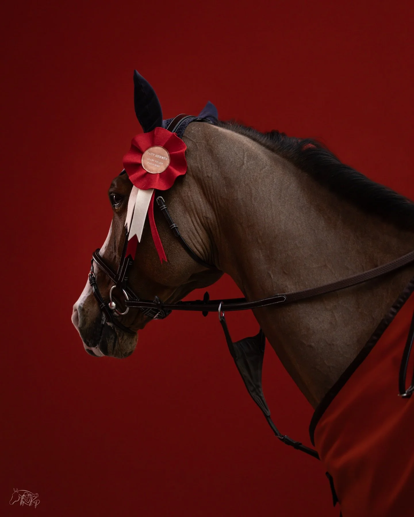 A study in red. 🏵️ 

@julien_gonin and Flam de la Ch&acirc;telaine take second place in the CSI5* Prix Du Grand Palais. 

📸 @kirsty_pasto 

#KirstyPastoMedia #SautHermes  @teamlaiteriemontaigu