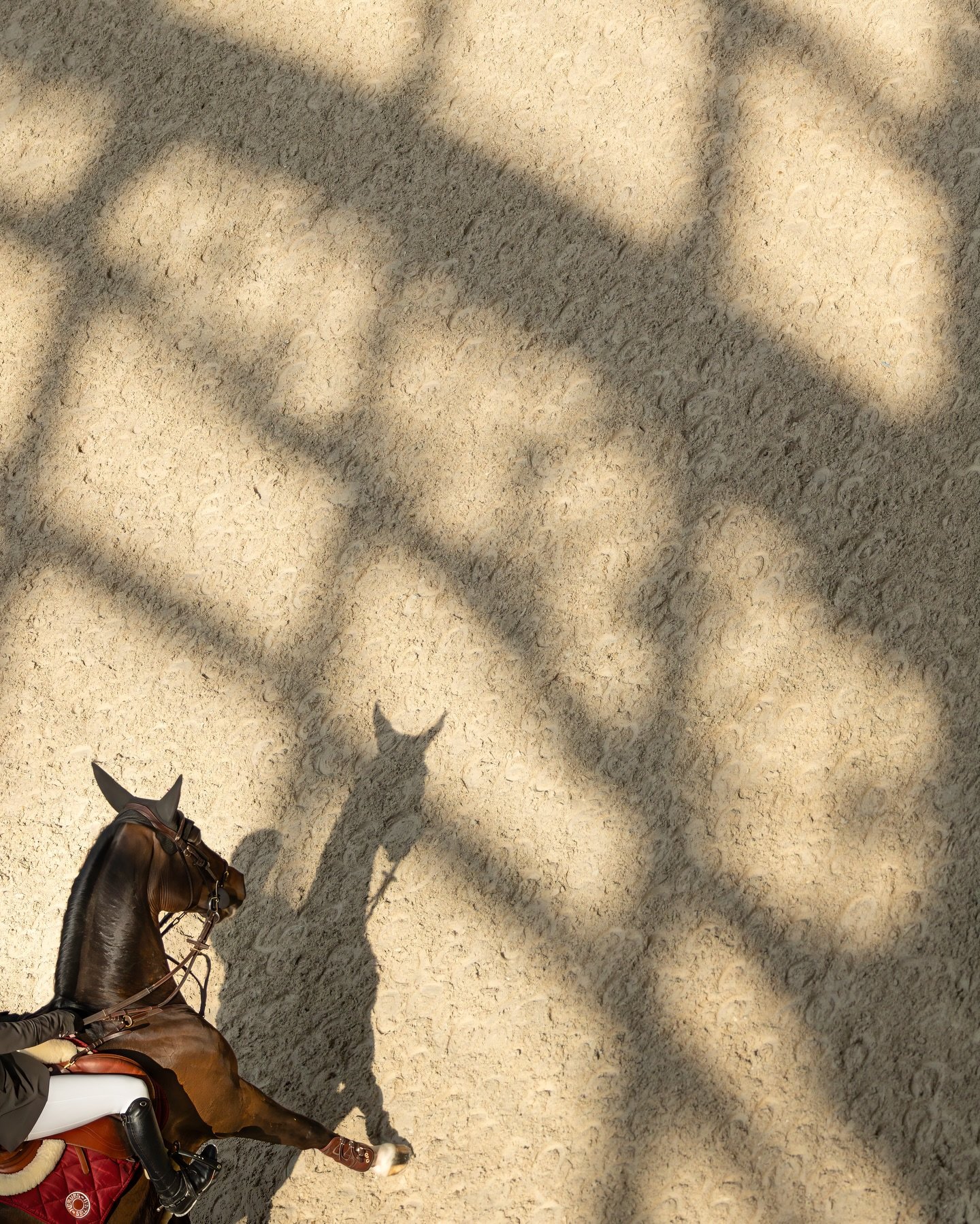 Out of the shadows and into the light. 🌓

📸 @kirsty_pasto 

#KirstyPastoMedia #sautherm&egrave;s