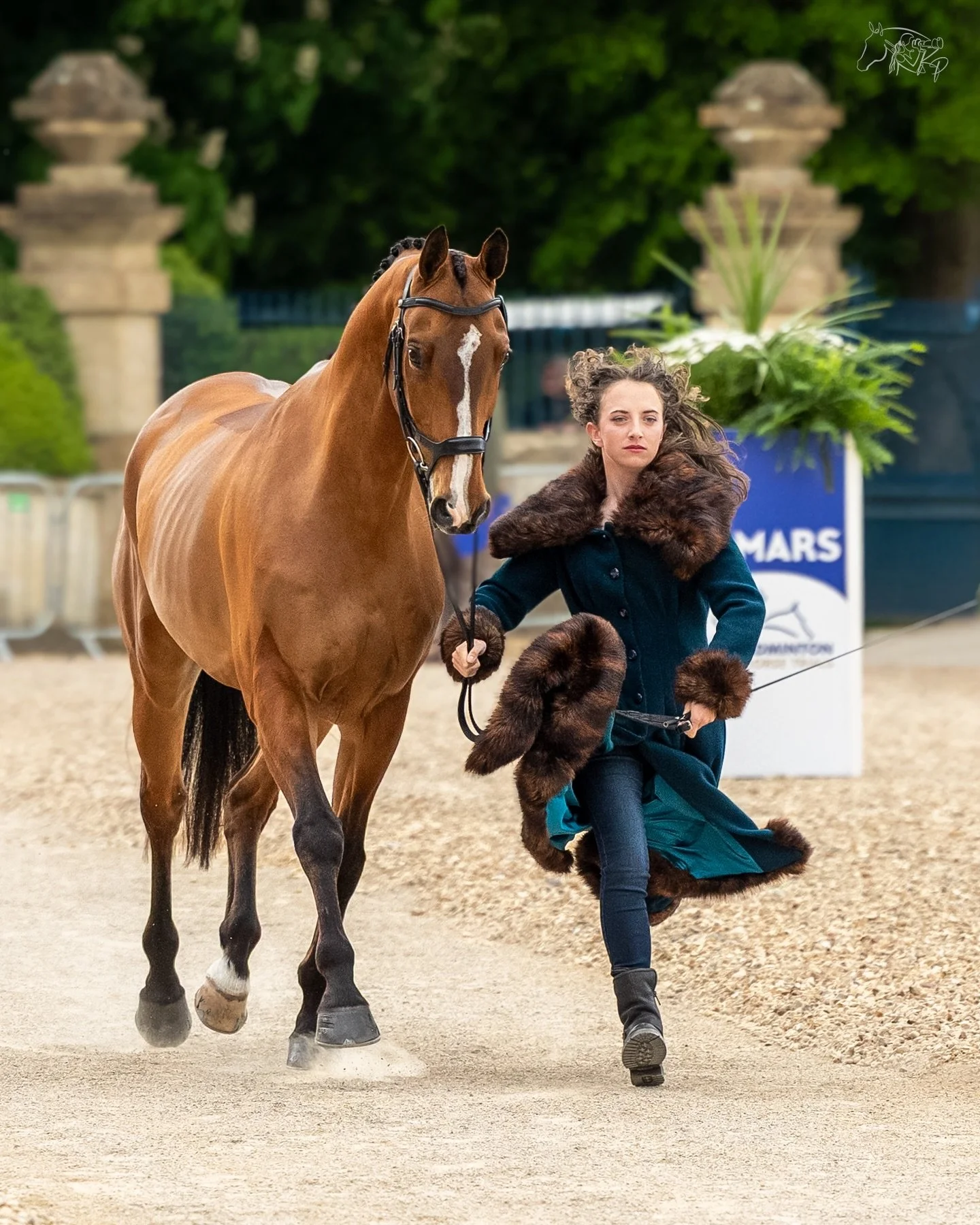 Straight out of Basgiath! 🔥

@emmathomaseventing and Icarus X delivered some serious main character energy at the @bhorsetrials horse inspection! 

📸 @kirsty_pasto 

#KirstyPastoMedia #Eventing #BHT26