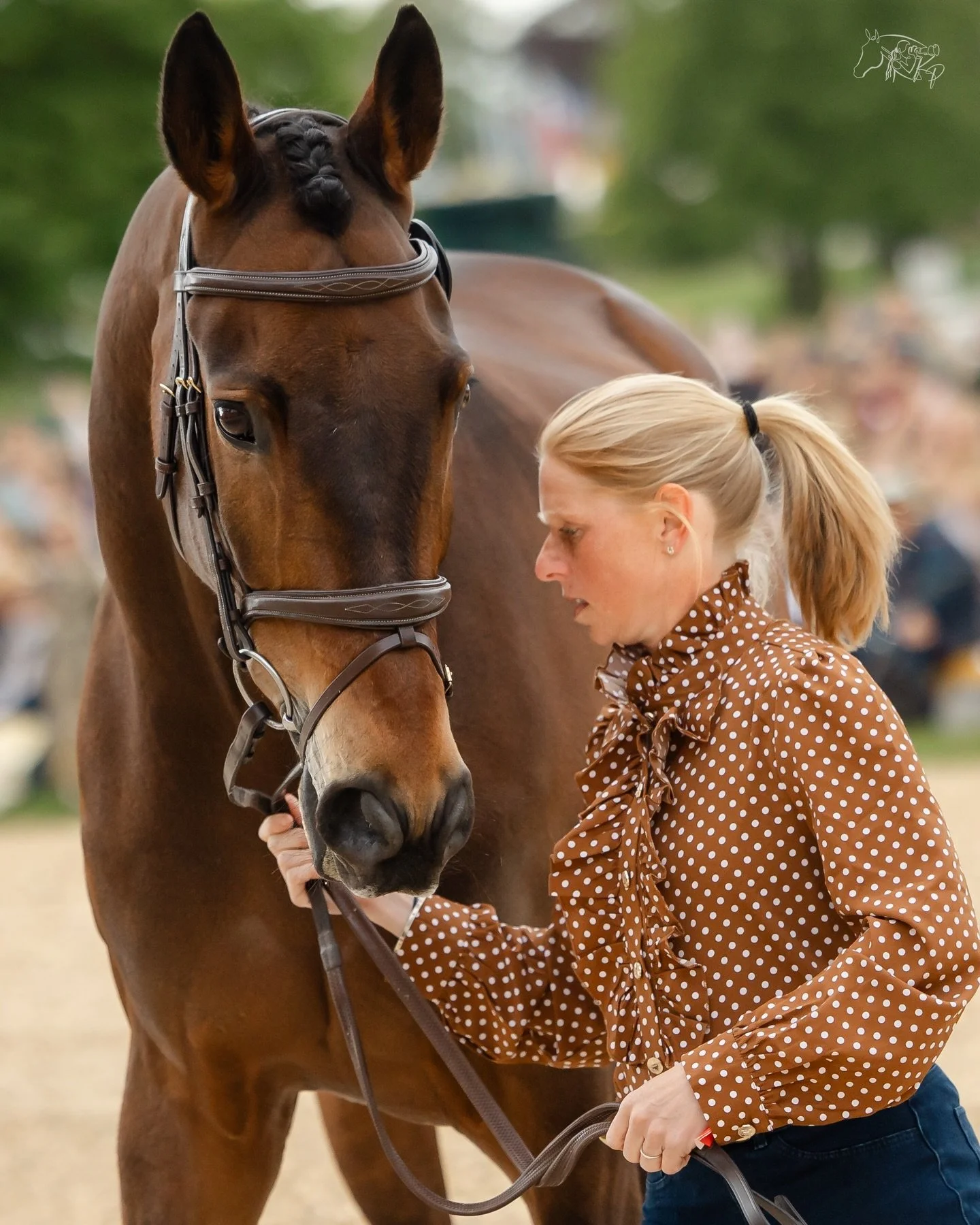 @ros_canter_eventing and Walter 🤎

Quietly perfect. 👌 

📸 @kirsty_pasto 

#KirstyPastoMedia #Eventing #BHT26