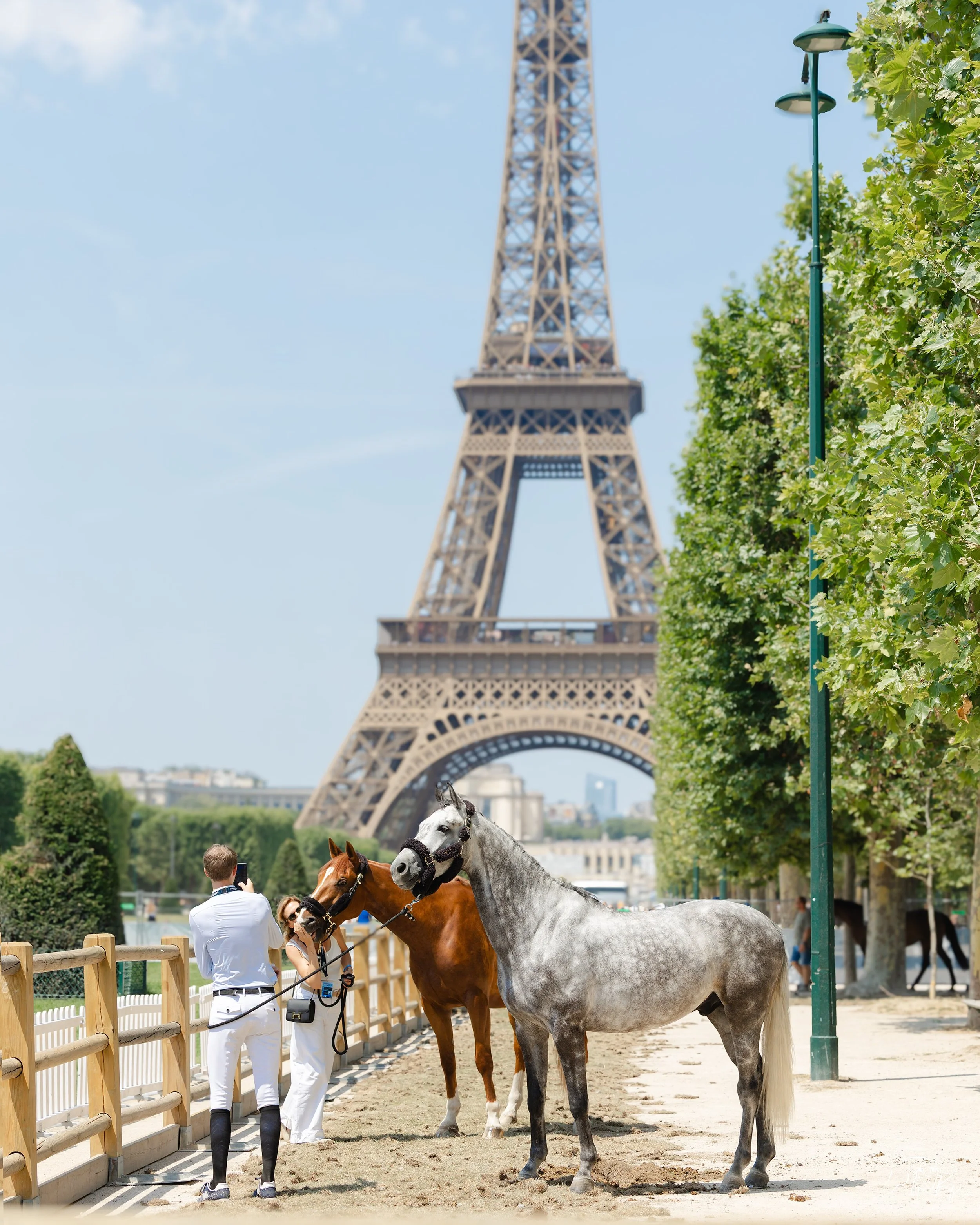 The city of love. 💕 

📸 @kirsty_pasto

#KirstyPastoMedia #LPEJ2026 #PrixJeanRochefort @longinespariseiffeljumping