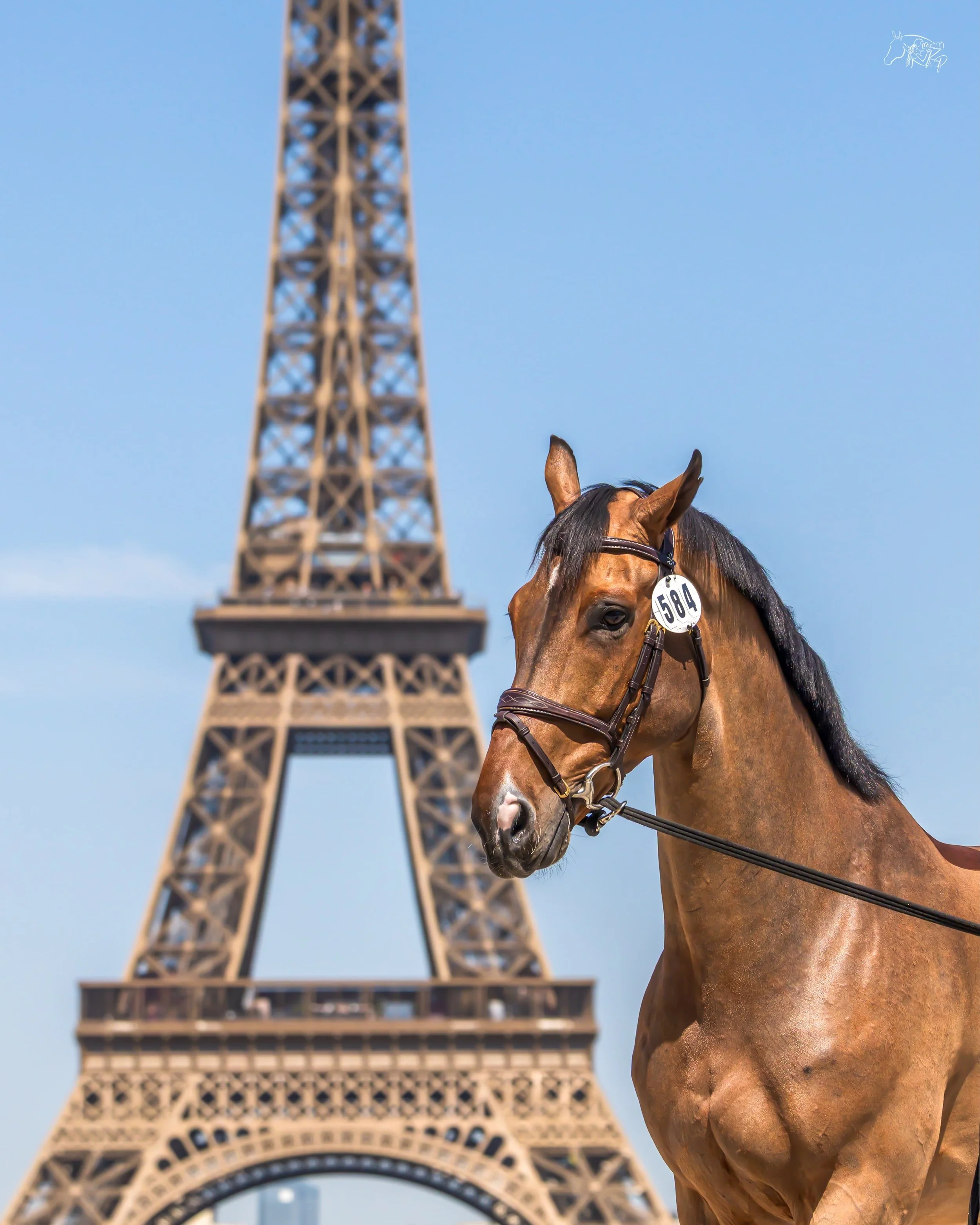Ooh la la. 😍

Quando van het Hellehof, Paris looks good on you. 👌

📸 @kirsty_pasto 

#KirstyPastoMedia #LPEJ2026