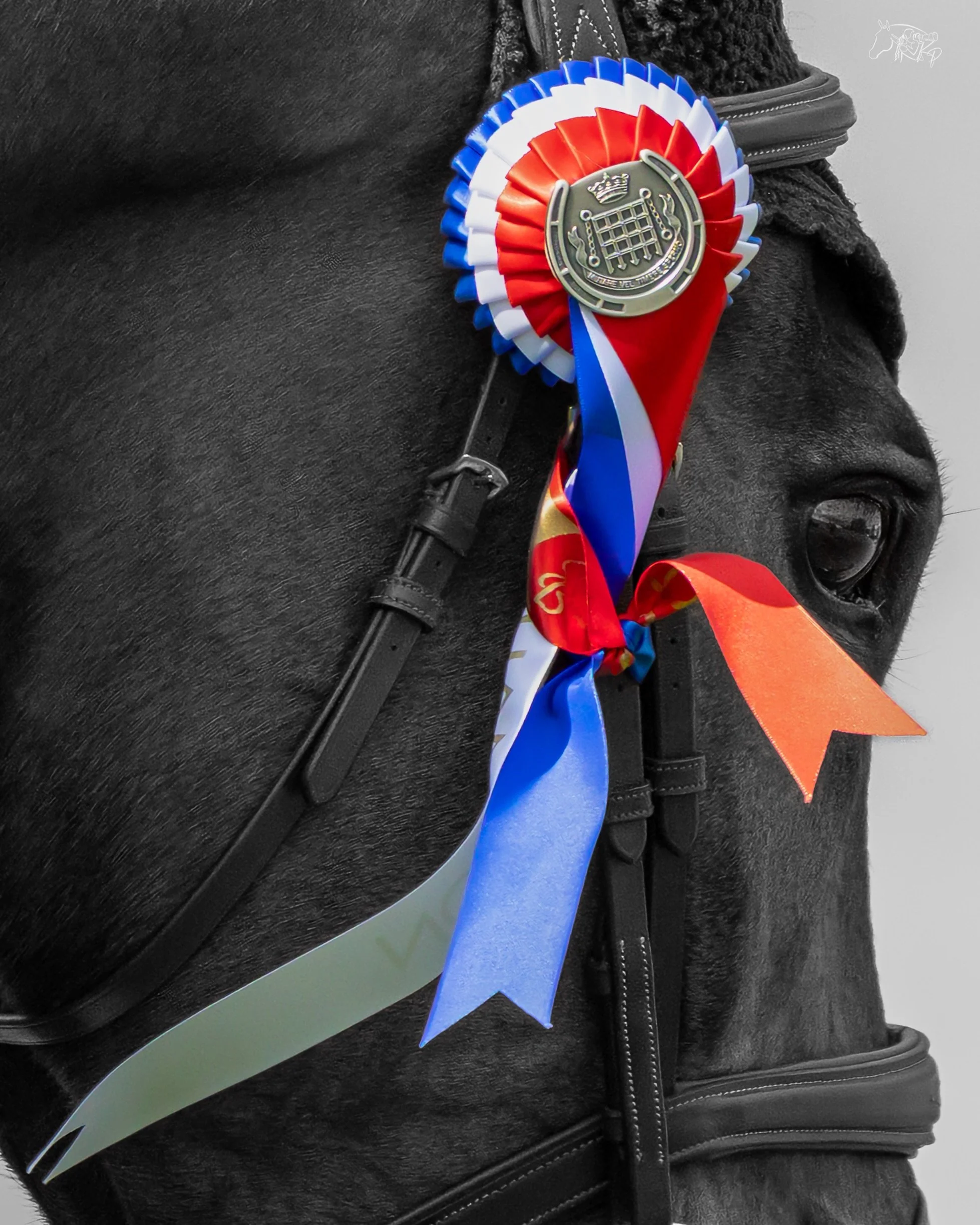 Goodnight from @bhorsetrials 2026 🏵️

📸 @kirsty_pasto 

#KirstyPastoMedia #Eventing #BHT26