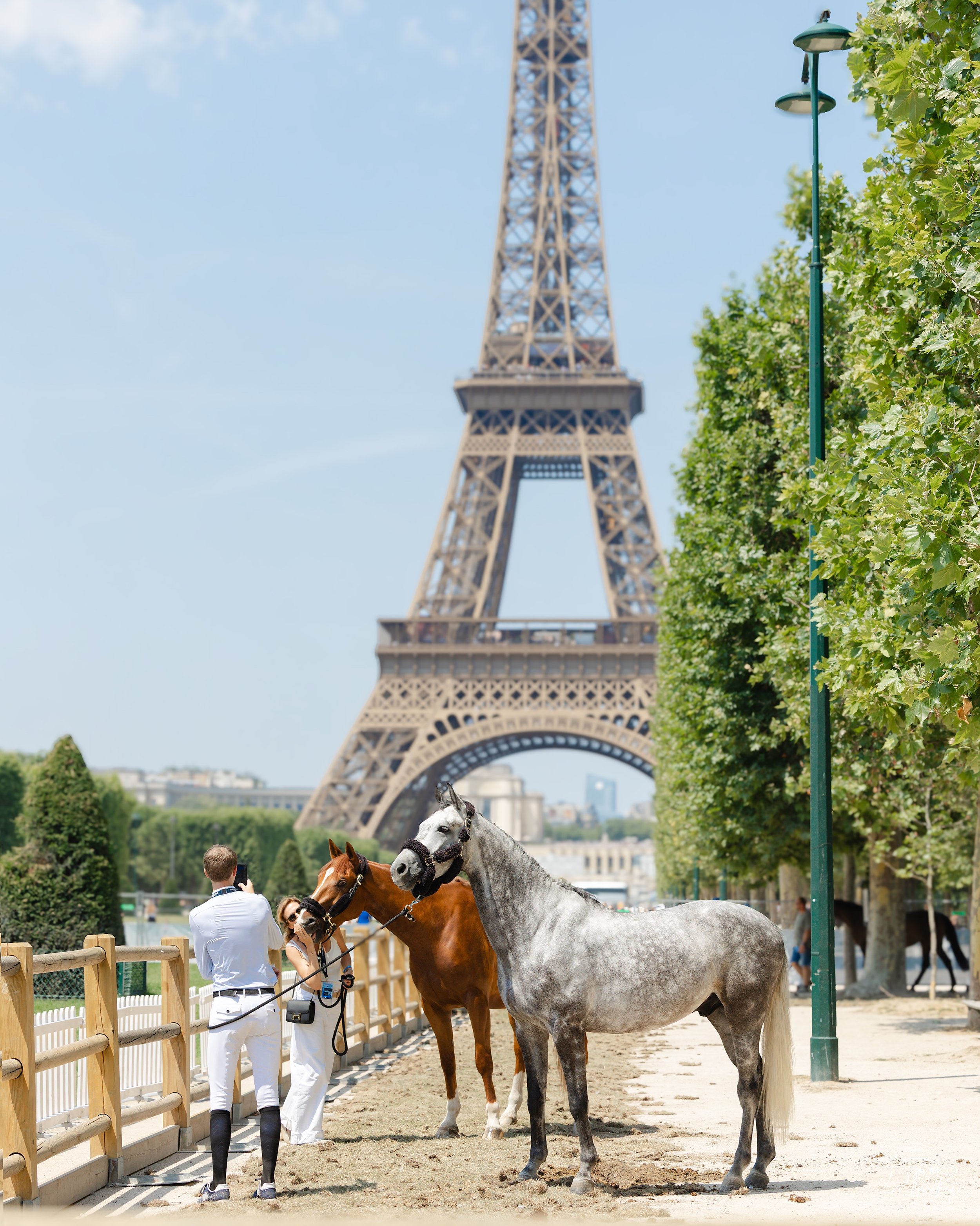 The city of love. 💕 

📸 @kirsty_pasto

#KirstyPastoMedia #LPEJ2026 #PrixJeanRochefort @longinespariseiffeljumping