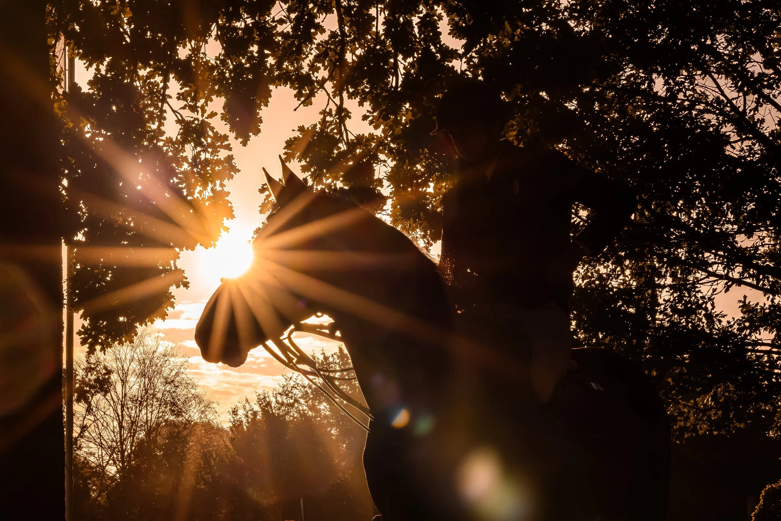 Soaking up the sun! 🌅 

Throwback to @zangersheide. Always a favourite for sunrise shots. No overlays, no AI just early morning magic. ✨ 

📸 @kirsty_pasto pictured @stephengibbons11 of @mayfield_stables10 riding Umbrillio van het Kapelhof

#KirstyP