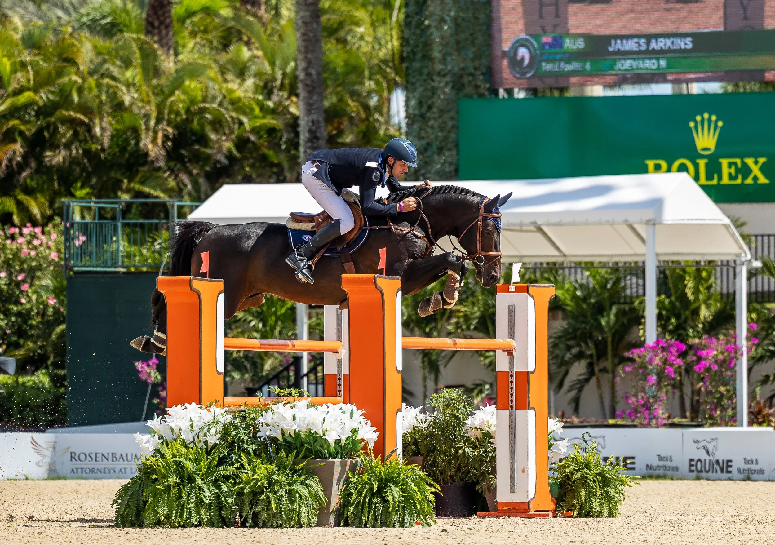 WEF Florida 6